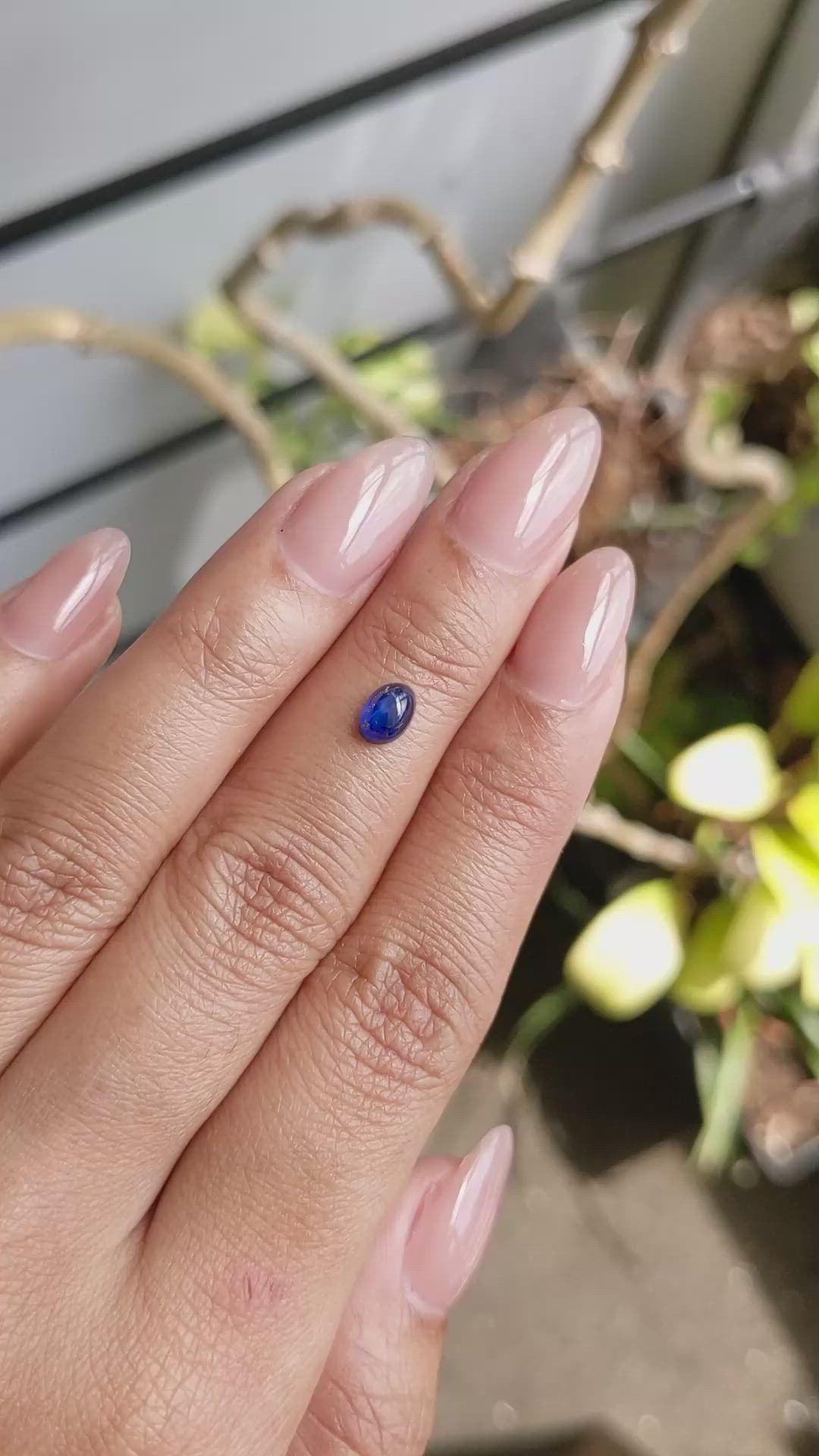 0.97 Ct. Blue Star Sapphire from Ceylon (Sri Lanka) Size Video