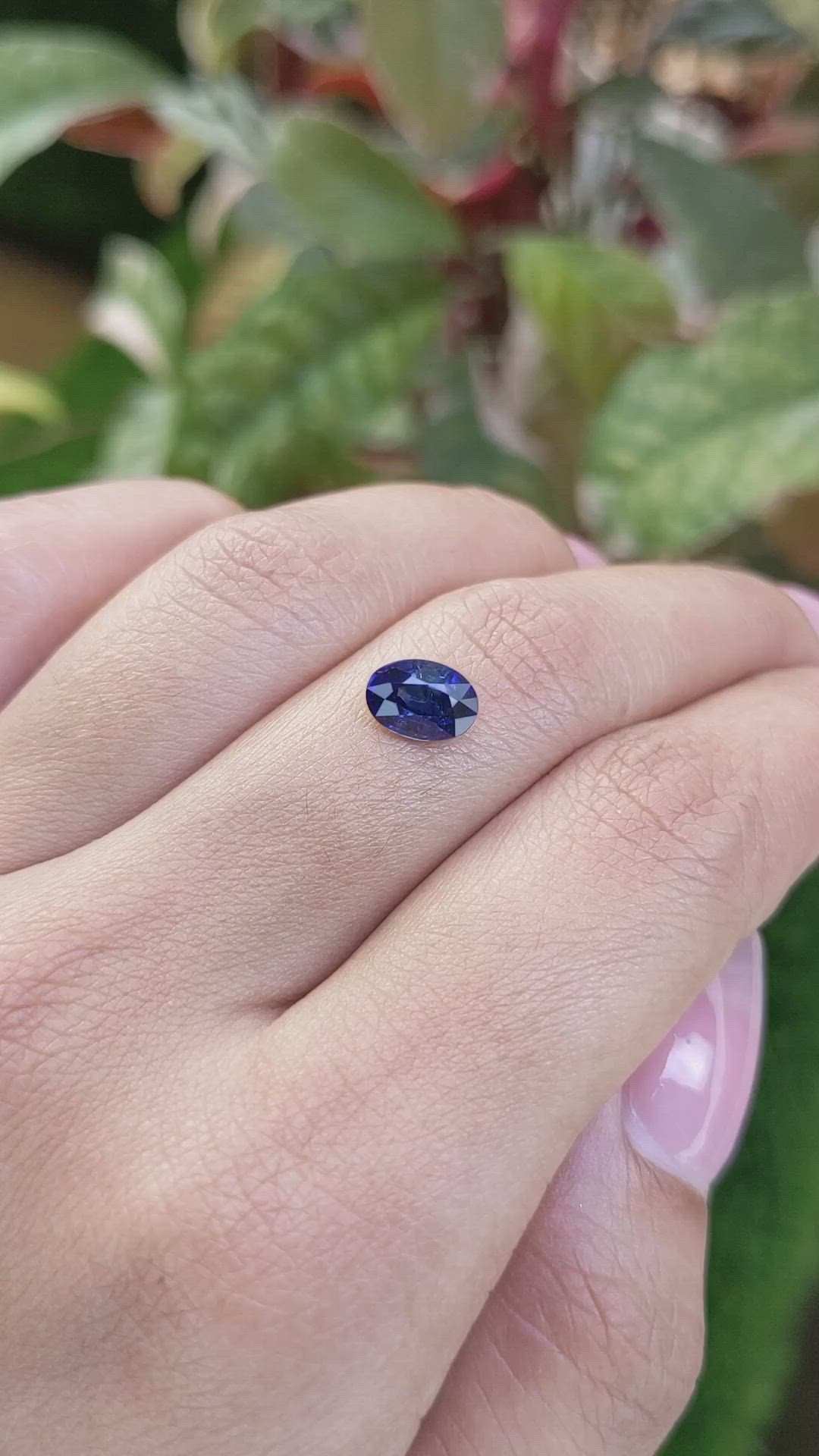 1.32 Ct. Blue Sapphire from Ceylon (Sri Lanka) Size Video