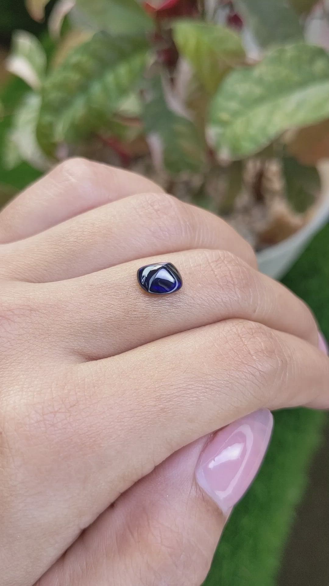 2.39 Ct. Blue Cabochon Sapphire from Ceylon (Sri Lanka) Size Video
