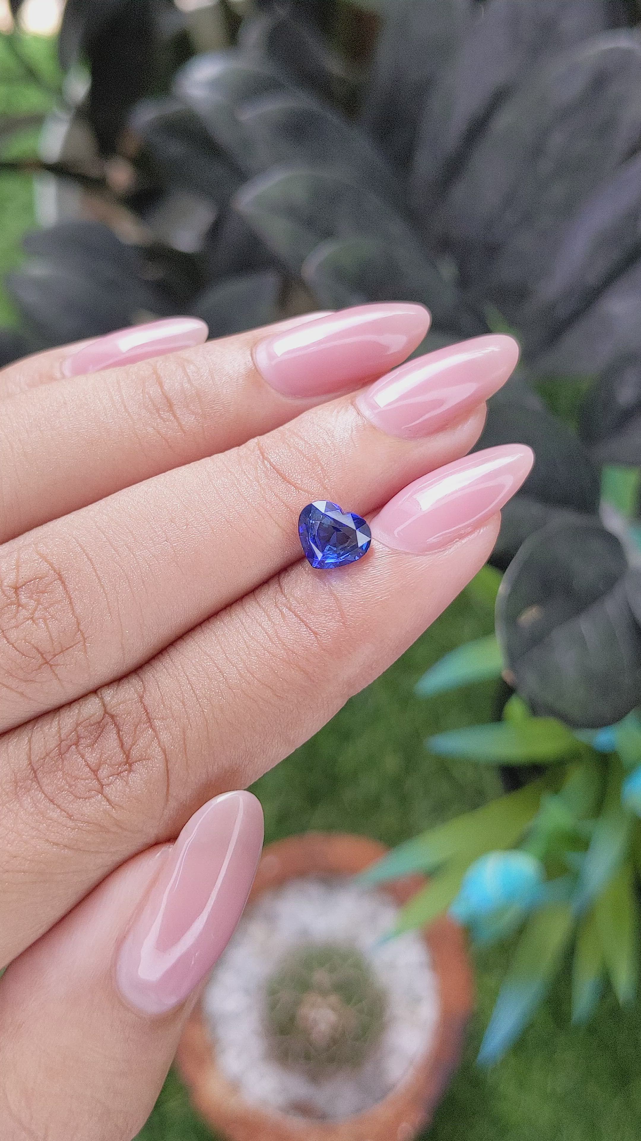 1.55 Ct. Blue Sapphire from Ceylon (Sri Lanka) Size Video
