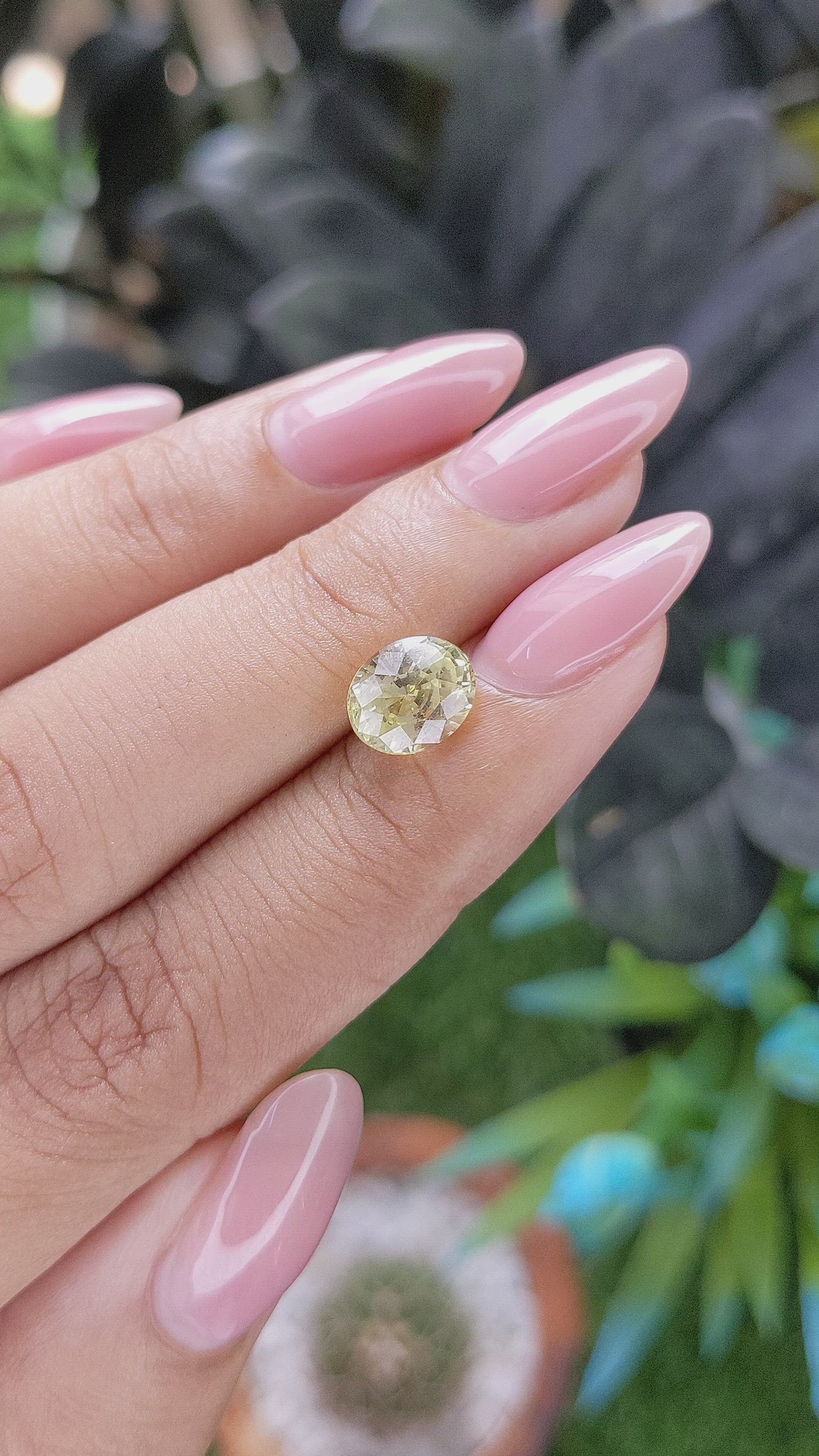 2.48 Ct. Yellow Sapphire from Ceylon (Sri Lanka) Size Video