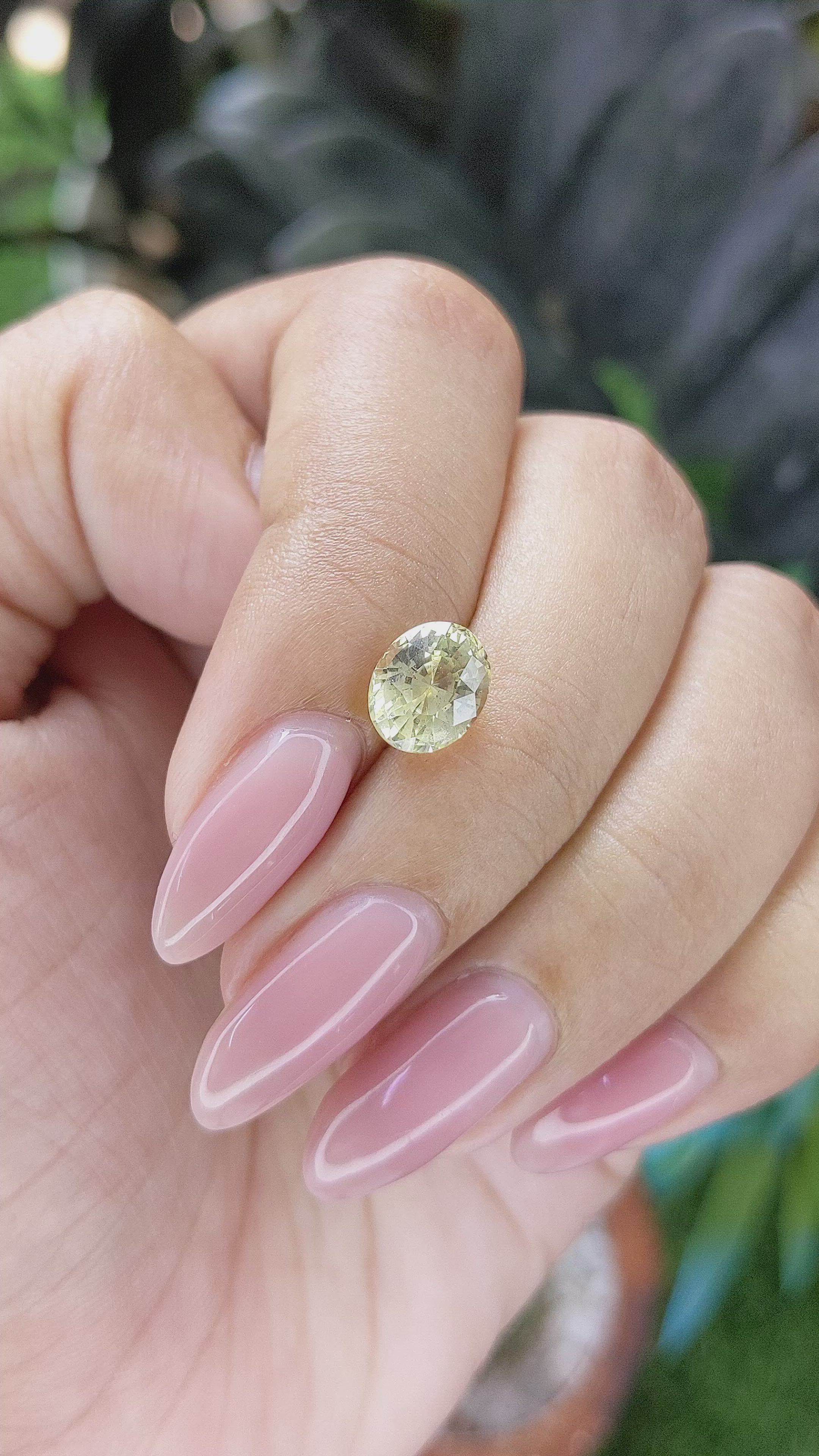 2.48 Ct. Yellow Sapphire from Ceylon (Sri Lanka) Size Video