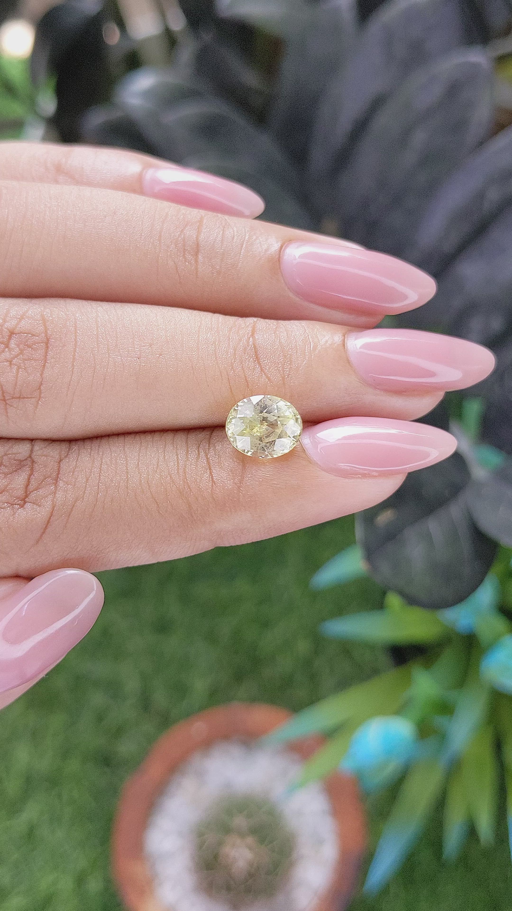 2.48 Ct. Yellow Sapphire from Ceylon (Sri Lanka) Size Video