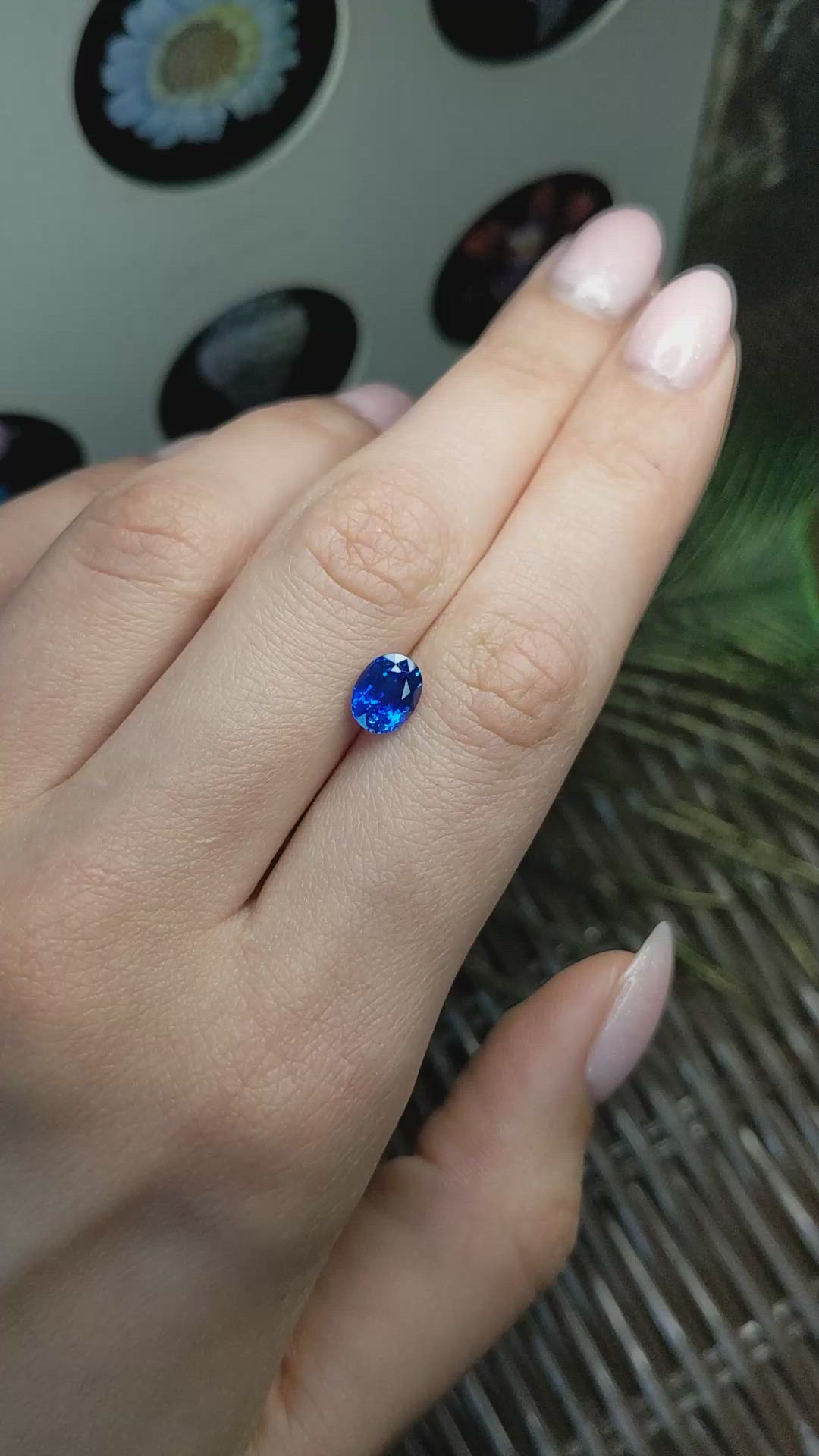 1.72 Ct. Blue Sapphire from Ceylon (Sri Lanka) Size Video