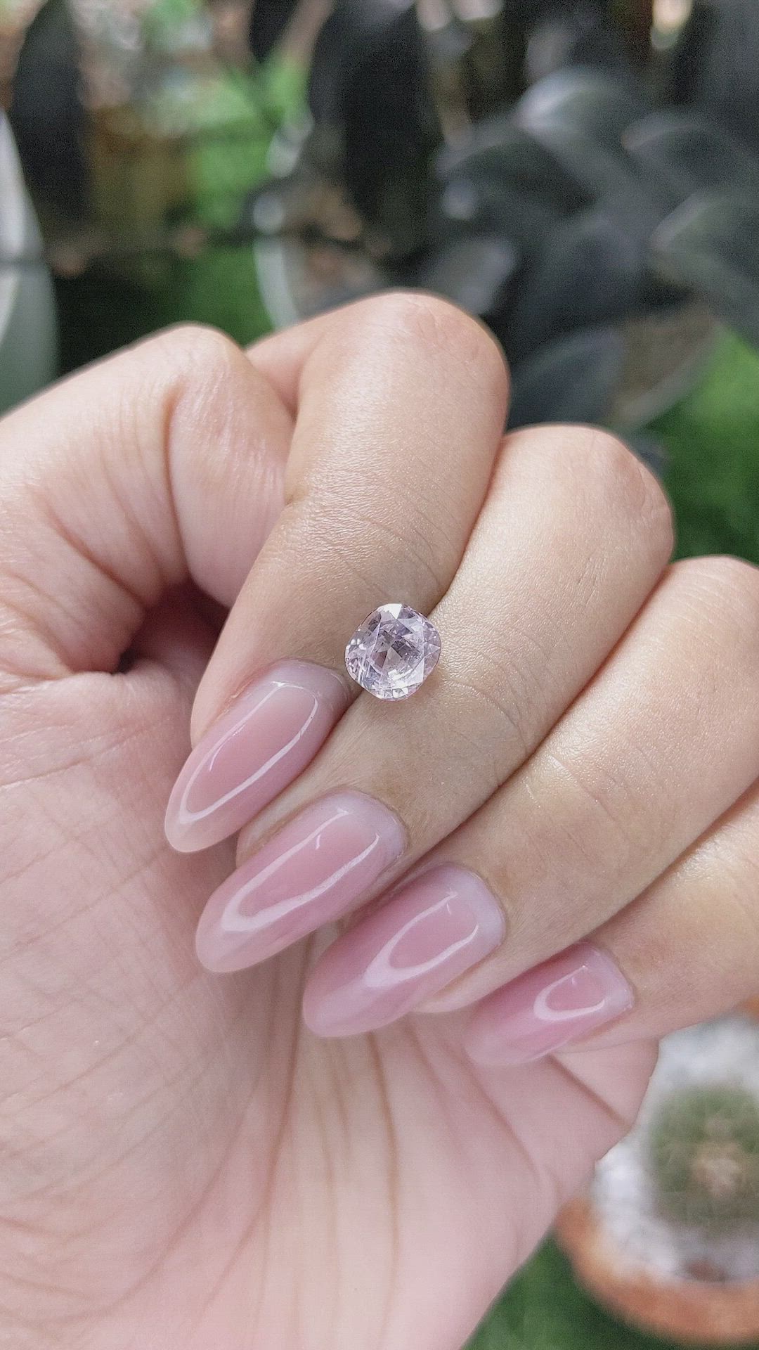 2.05 Ct. Pink Sapphire from Ceylon (Sri Lanka) Size Video