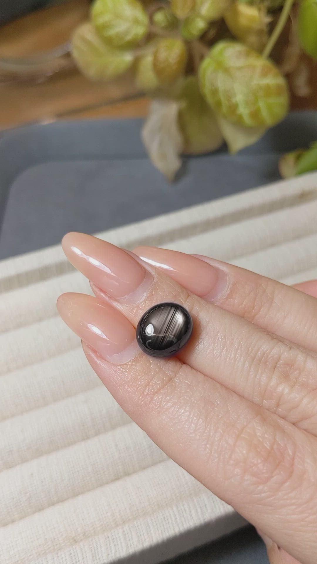 9.00 Ct. Black Cabochon Star Sapphire from Thailand Size Video