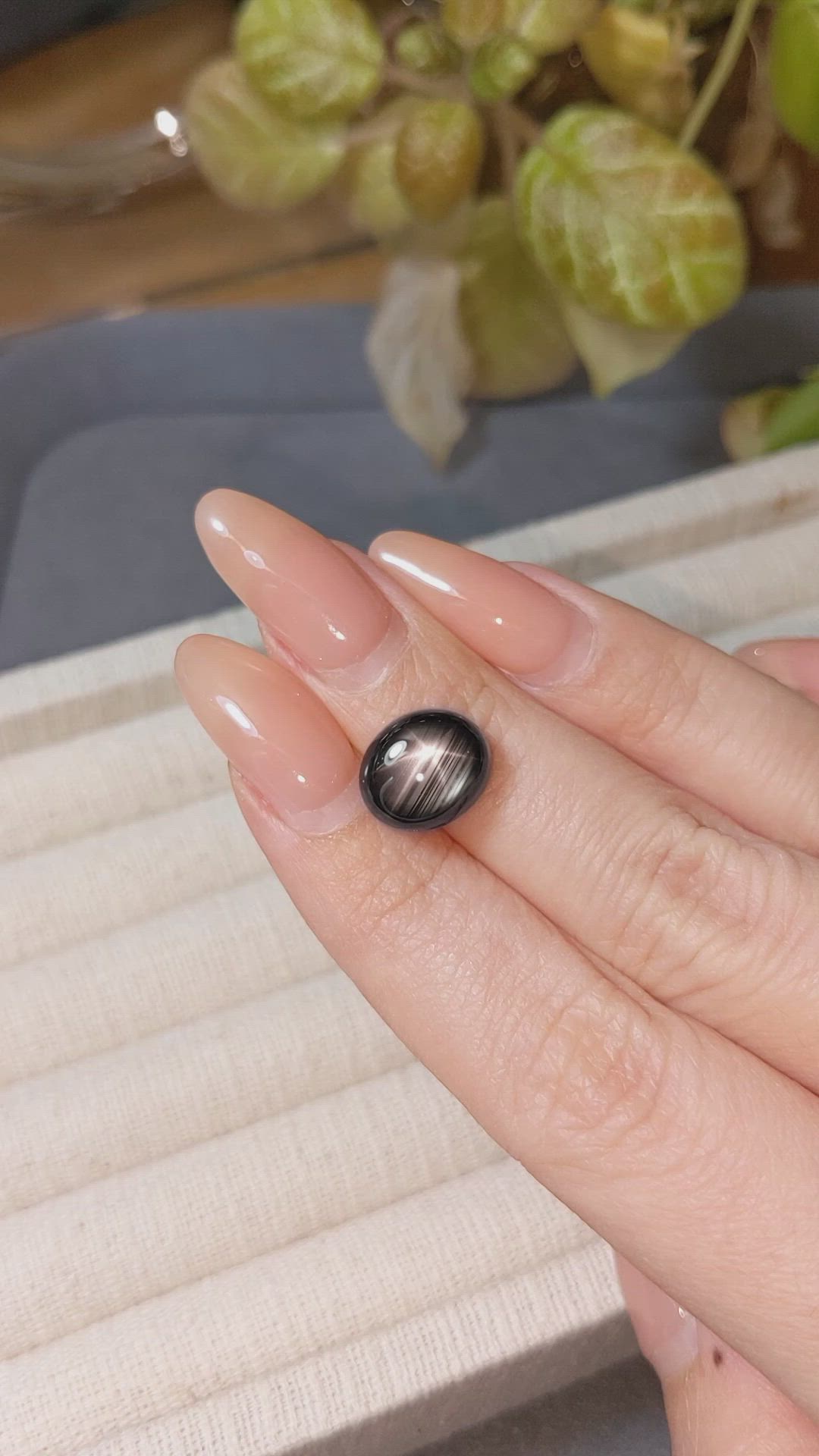 9.00 Ct. Black Cabochon Star Sapphire from Thailand Size Video