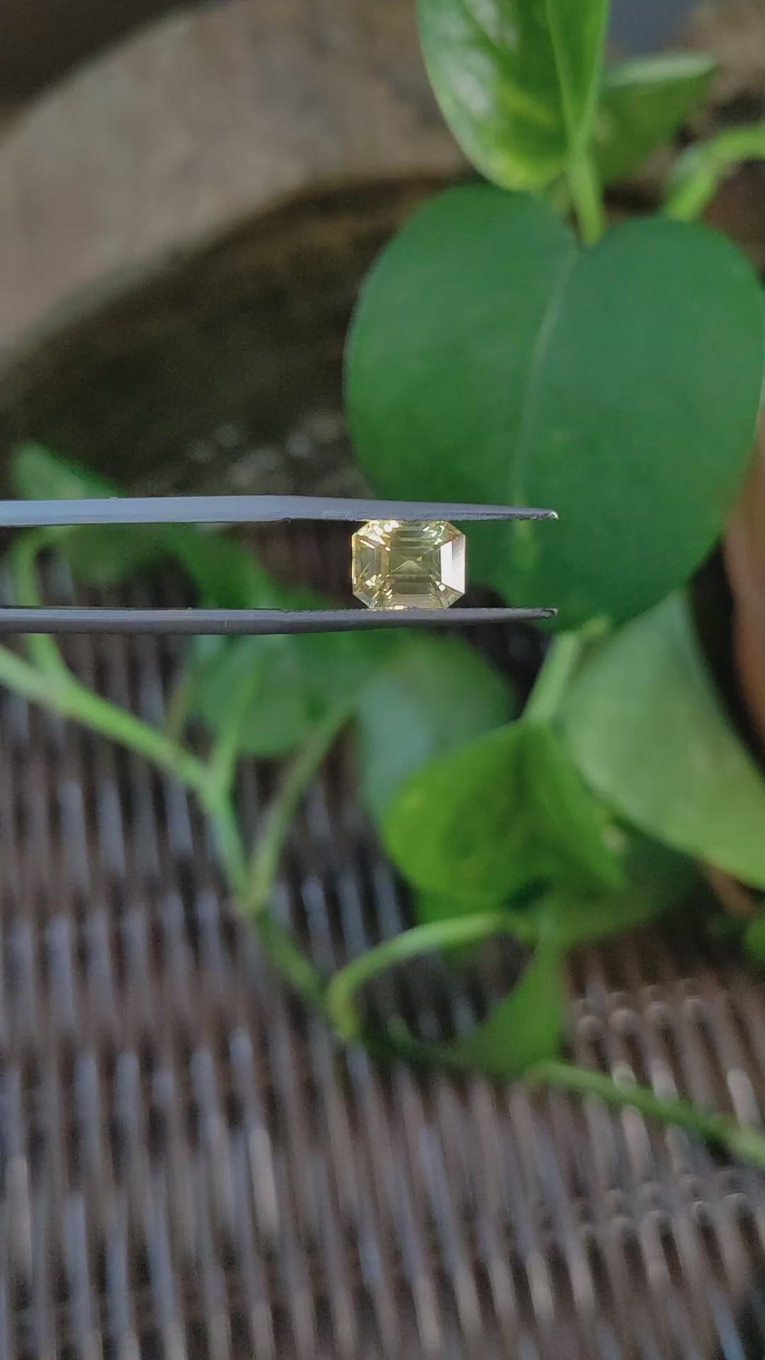 2.26 Ct. Yellow Sapphire from Ceylon (Sri Lanka) Size Video
