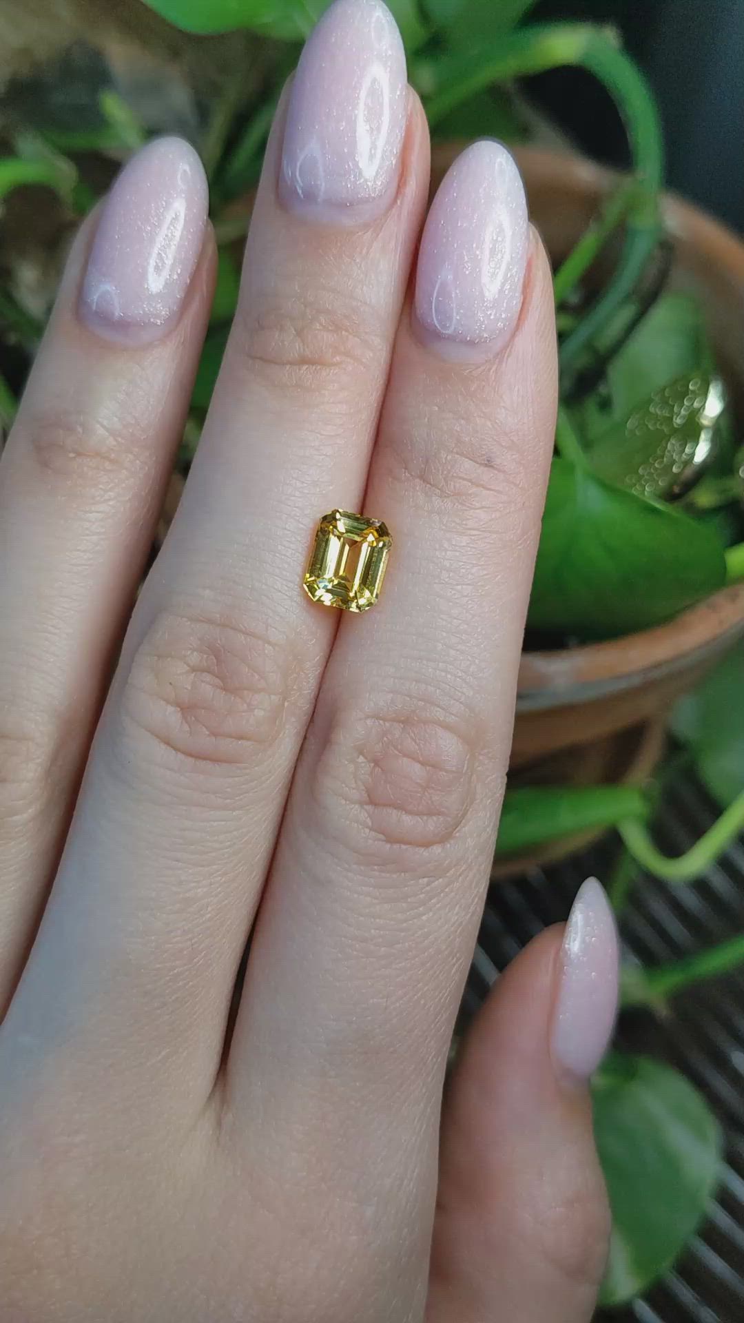 2.54 Ct. Yellow Sapphire from Ceylon (Sri Lanka) Size Video