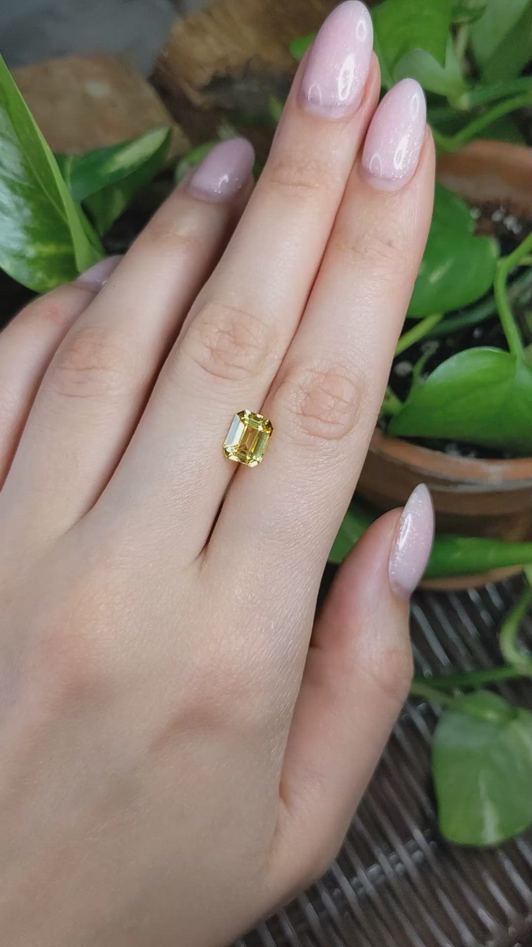 2.54 Ct. Yellow Sapphire from Ceylon (Sri Lanka) Size Video