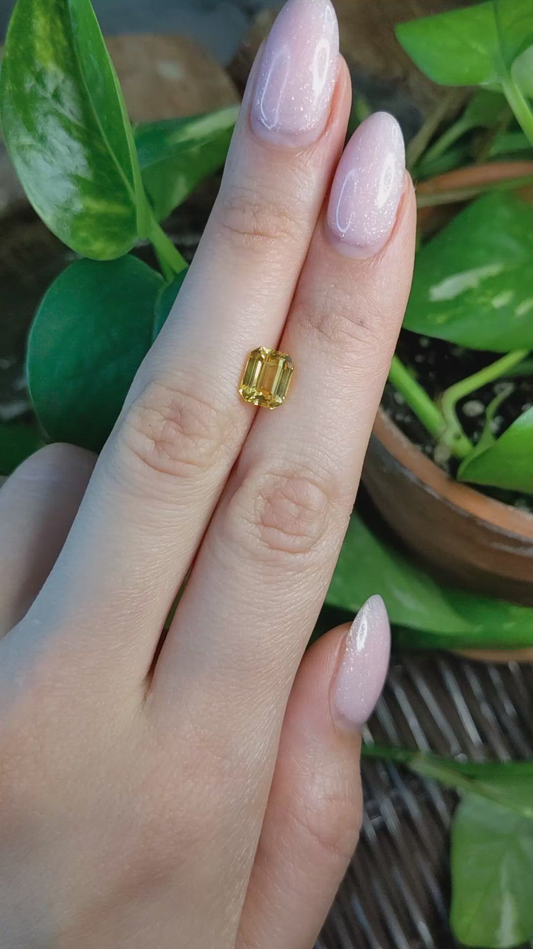 2.54 Ct. Yellow Sapphire from Ceylon (Sri Lanka) Size Video
