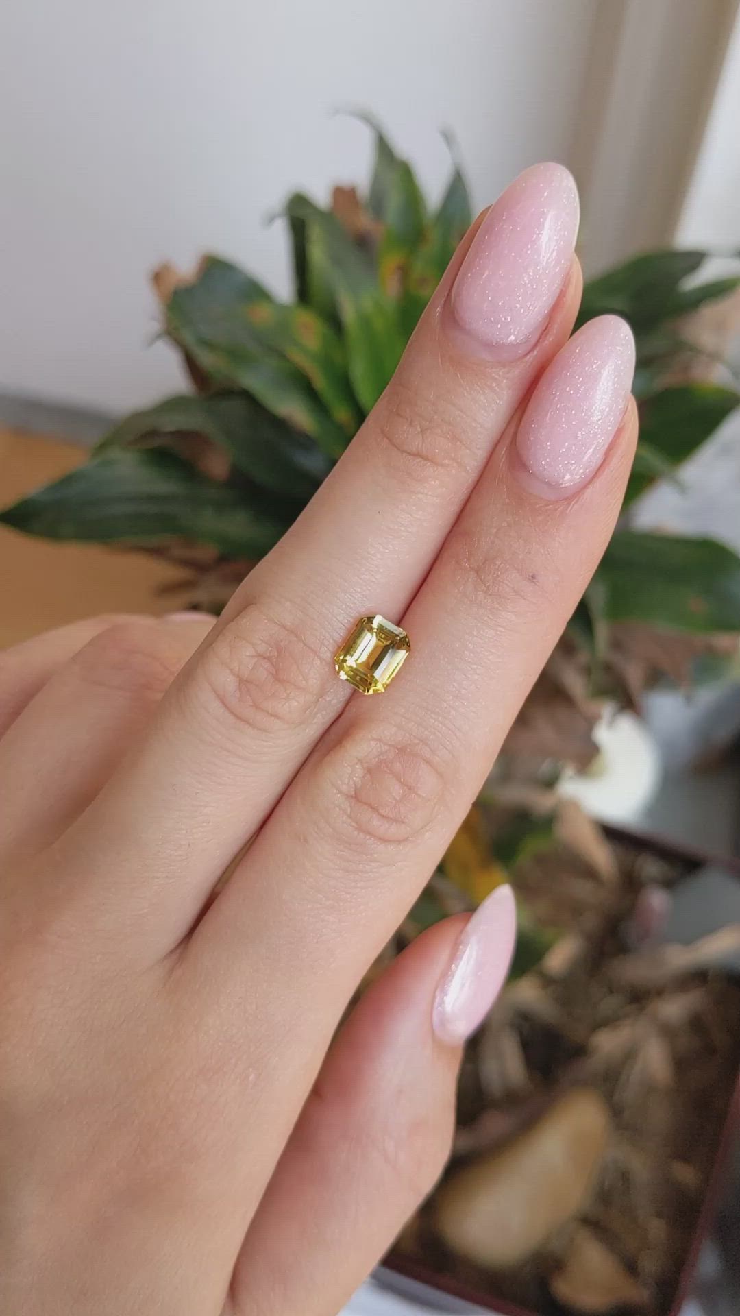2.55 Ct. Yellow Sapphire from Ceylon (Sri Lanka) Size Video
