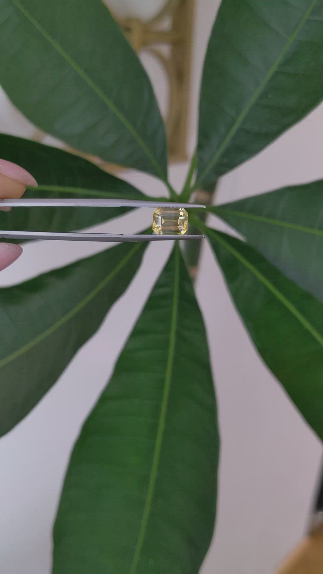 2.56 Ct. Yellow Sapphire from Ceylon (Sri Lanka) Size Video