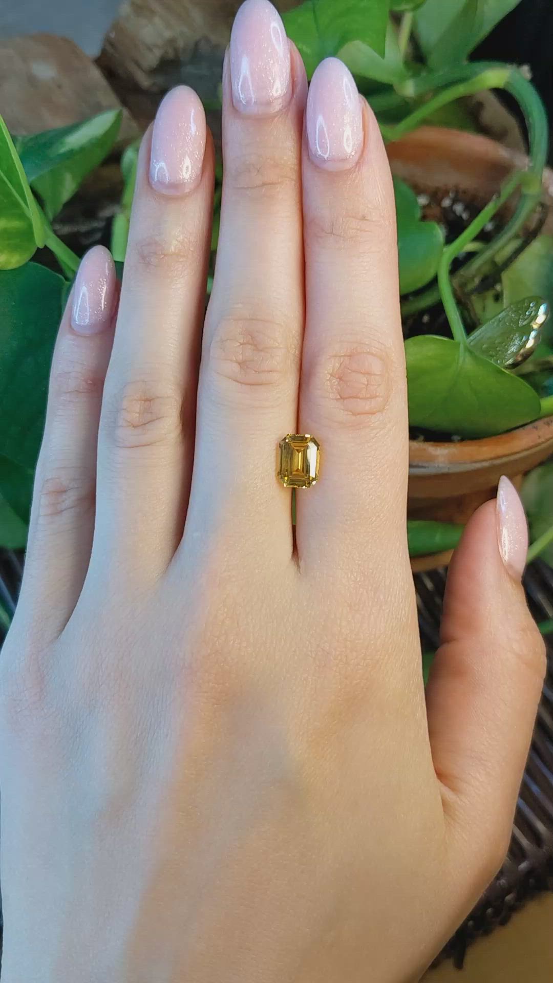 3.60 Ct. Yellow Sapphire from Ceylon (Sri Lanka) Size Video