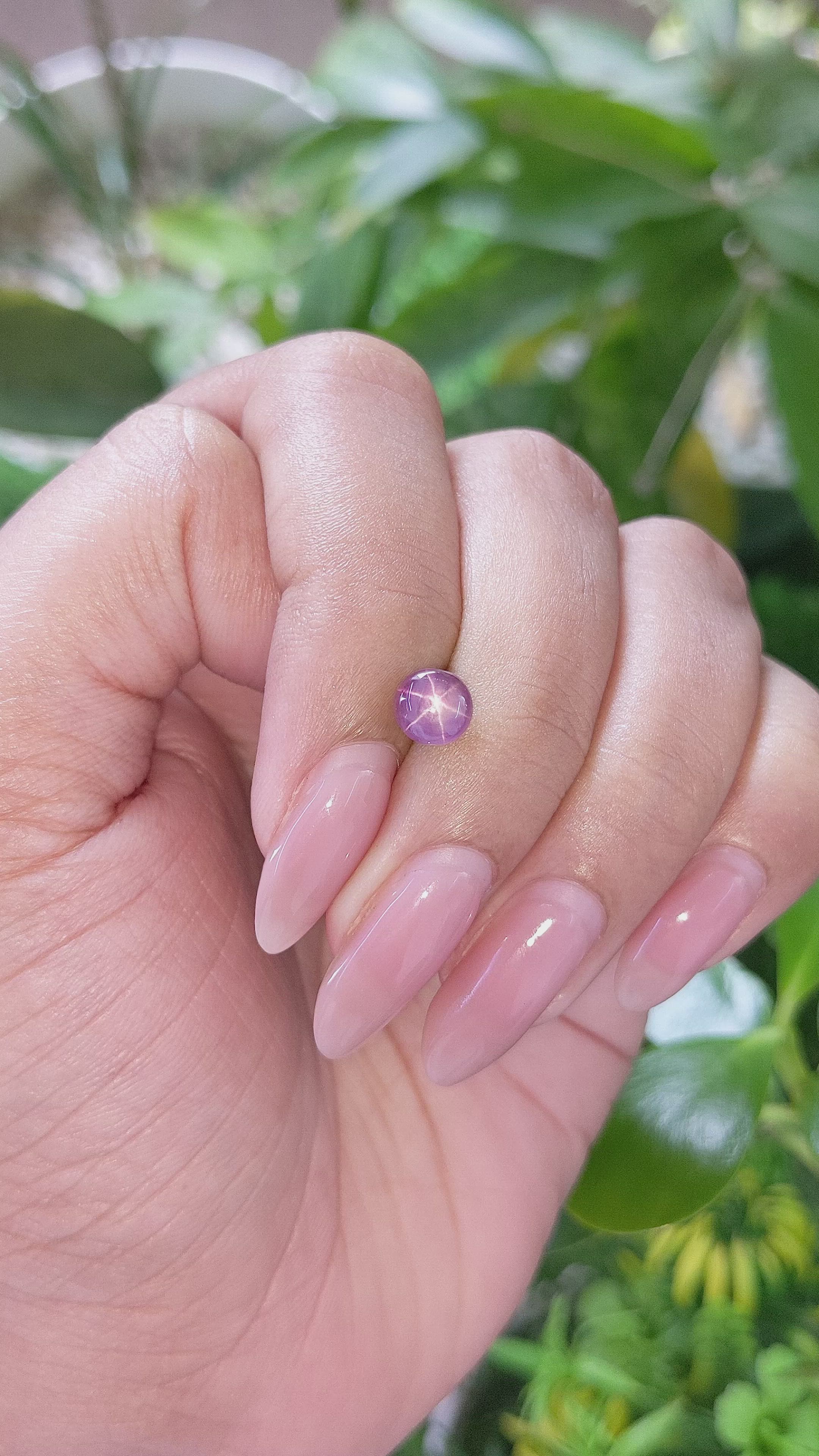 1.69 Ct. Purple Star Sapphire from Ceylon (Sri Lanka) Size Video