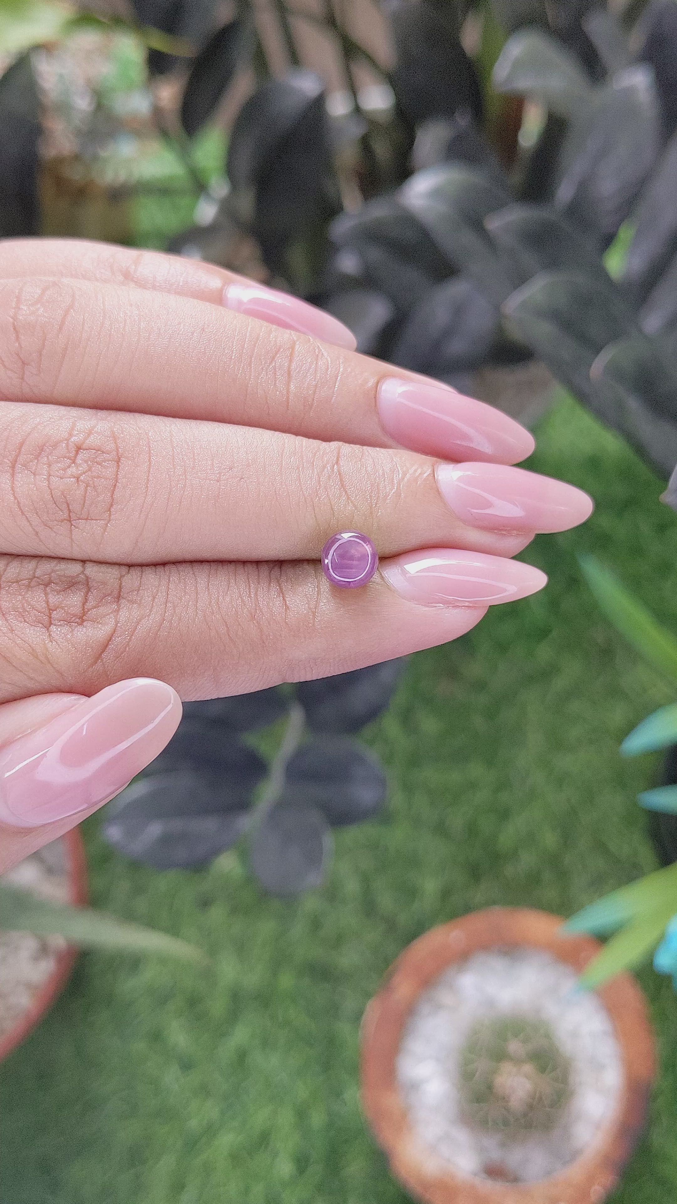 1.69 Ct. Purple Star Sapphire from Ceylon (Sri Lanka) Size Video