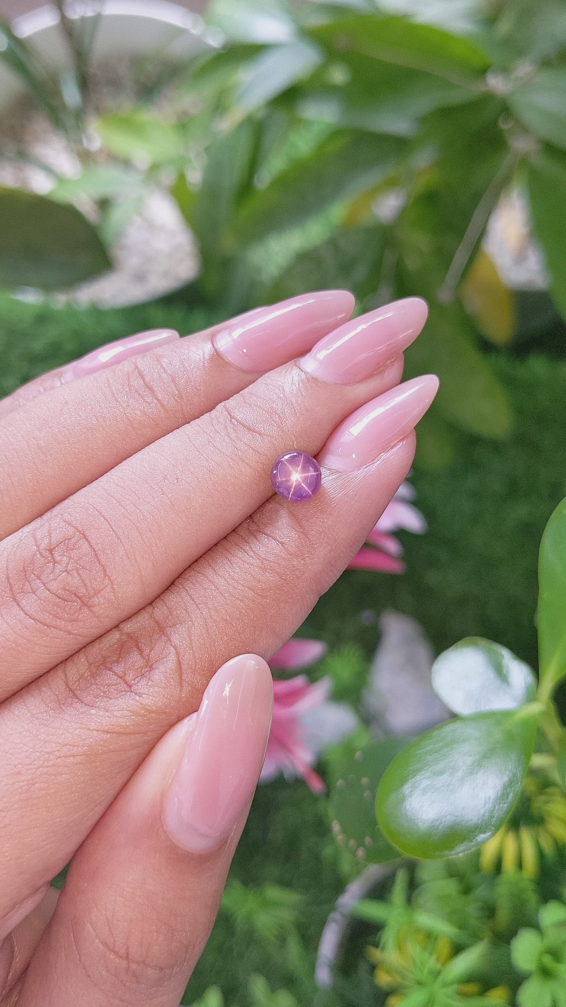 1.69 Ct. Purple Star Sapphire from Ceylon (Sri Lanka) Size Video
