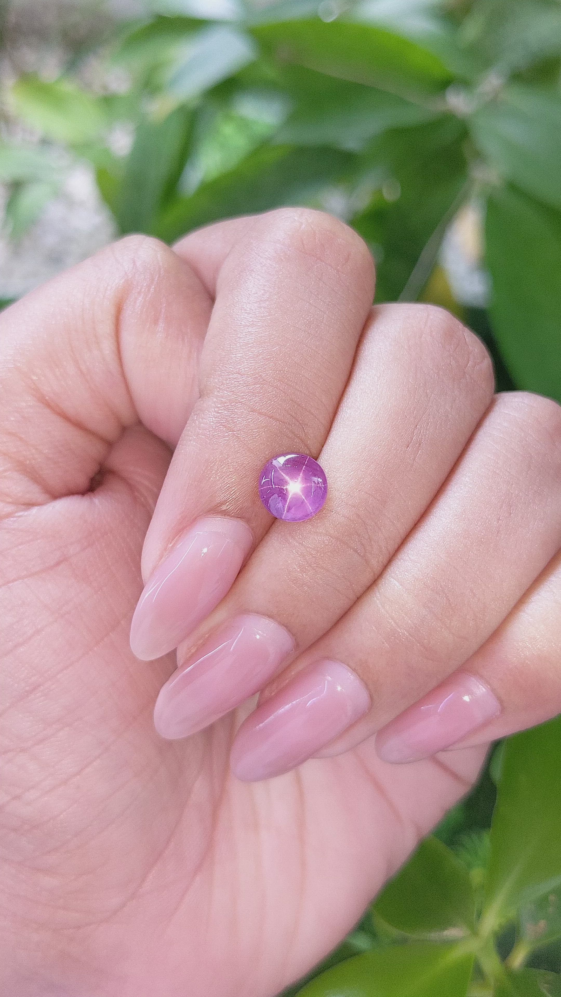 1.57 Ct. Pinkish Purple Star Sapphire from Ceylon (Sri Lanka) Size Video