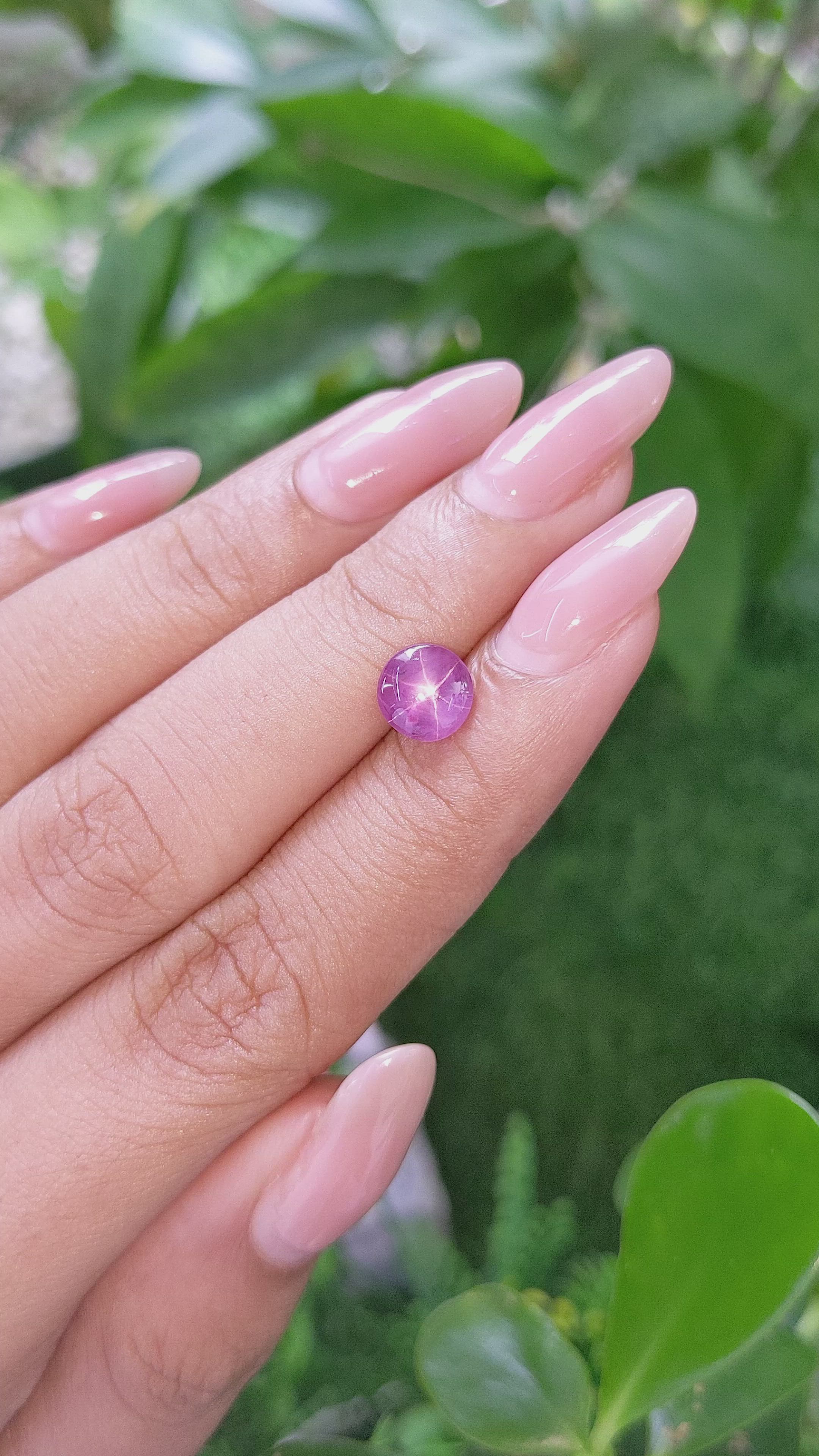 1.57 Ct. Pinkish Purple Star Sapphire from Ceylon (Sri Lanka) Size Video