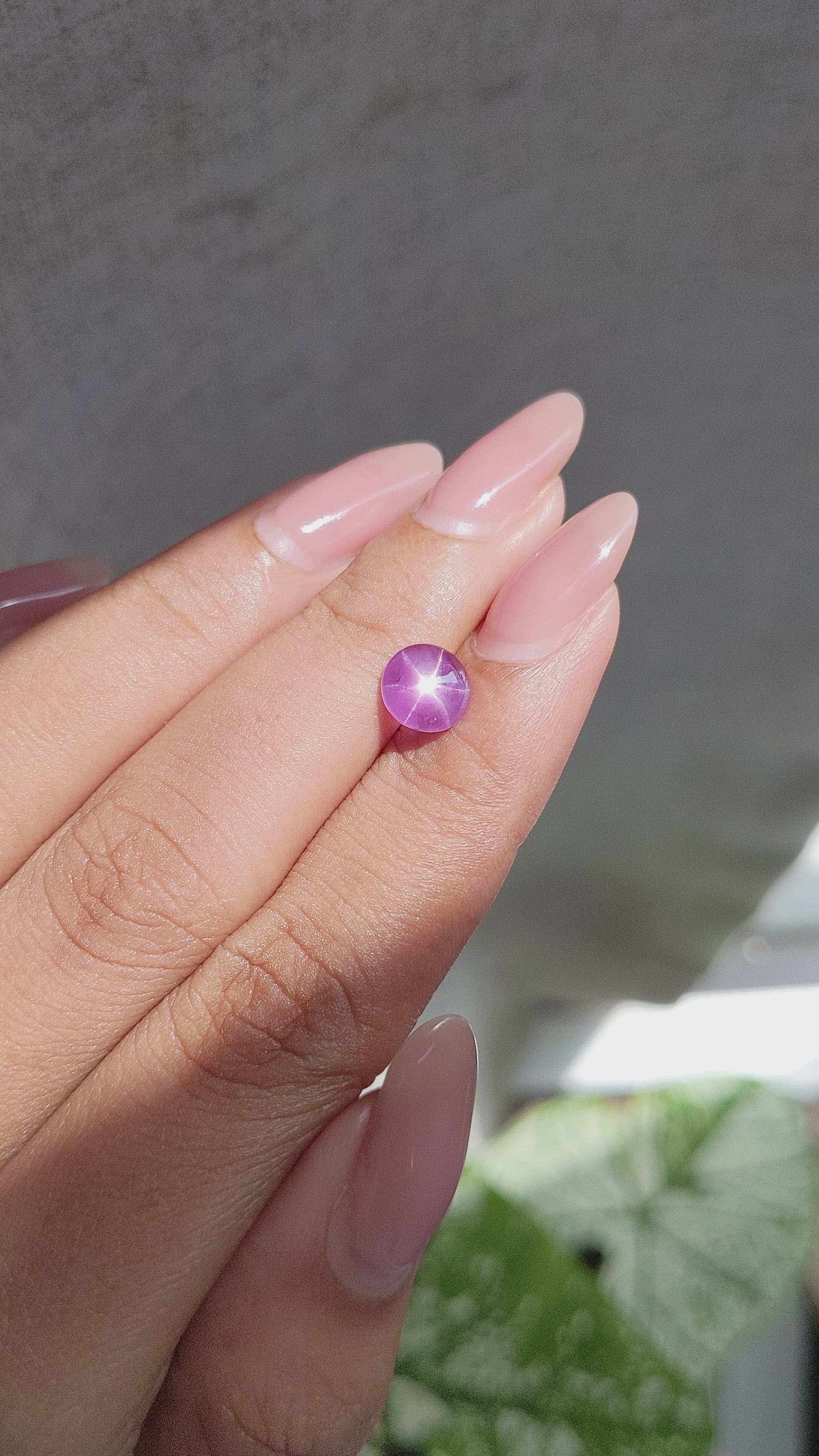 1.57 Ct. Pinkish Purple Star Sapphire from Ceylon (Sri Lanka) Size Video