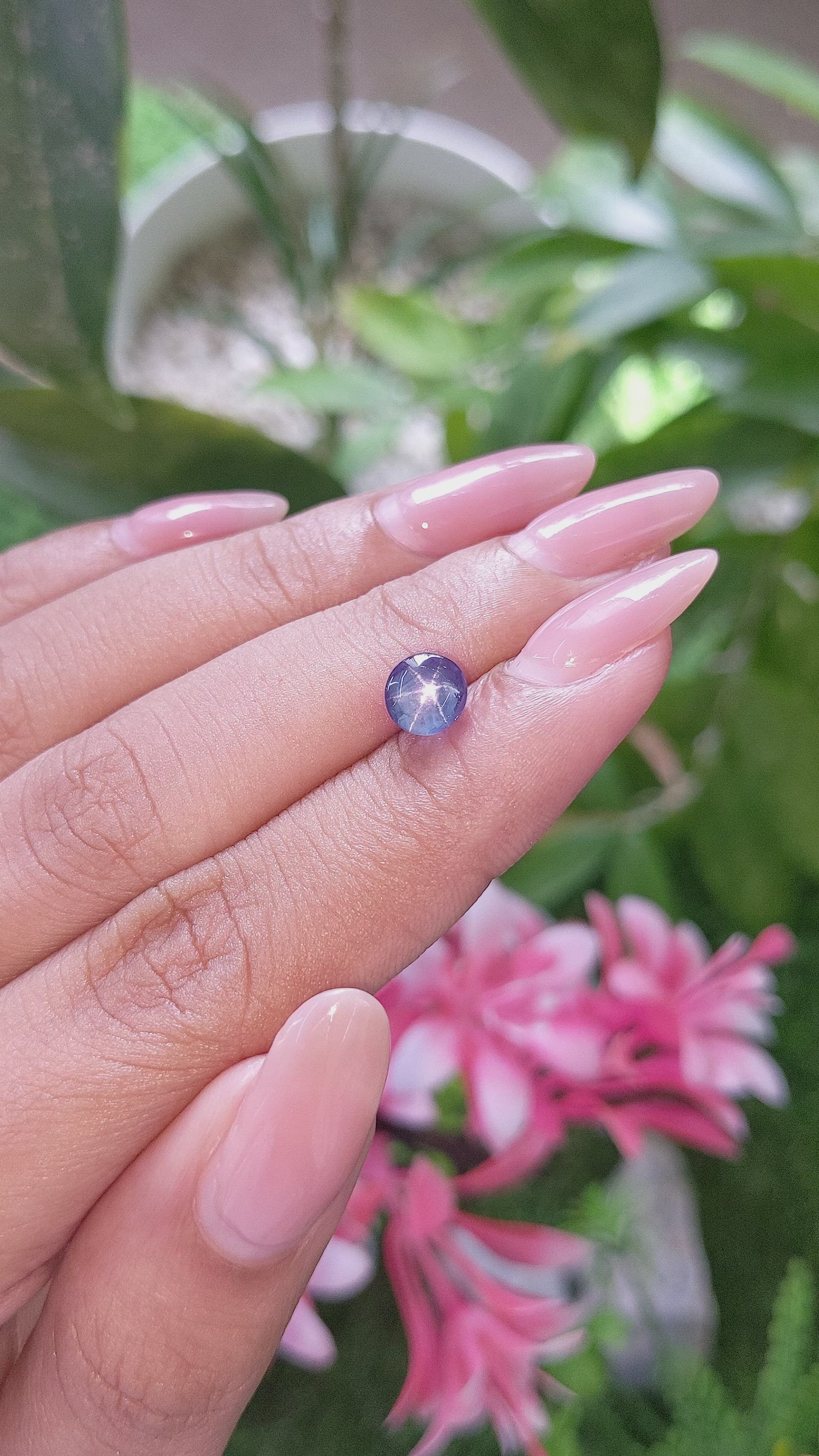 2.02 Ct. Purplish Blue Star Sapphire from Ceylon (Sri Lanka) Size Video