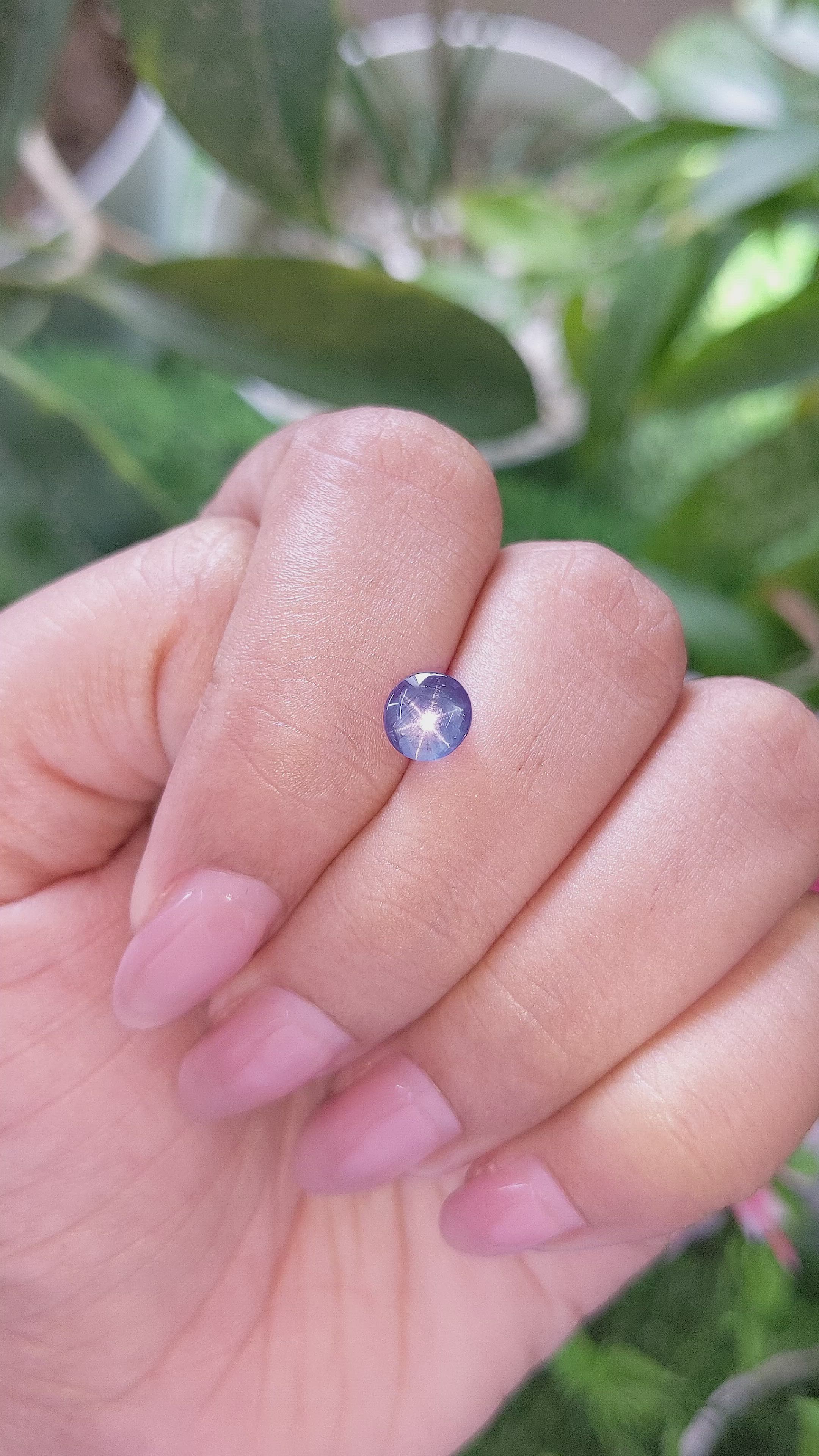2.02 Ct. Purplish Blue Star Sapphire from Ceylon (Sri Lanka) Size Video