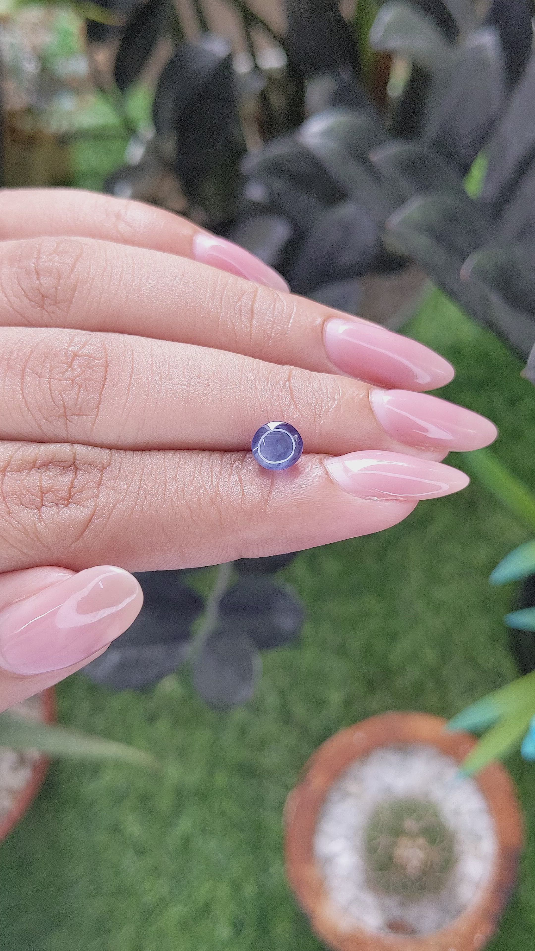 2.02 Ct. Purplish Blue Star Sapphire from Ceylon (Sri Lanka) Size Video