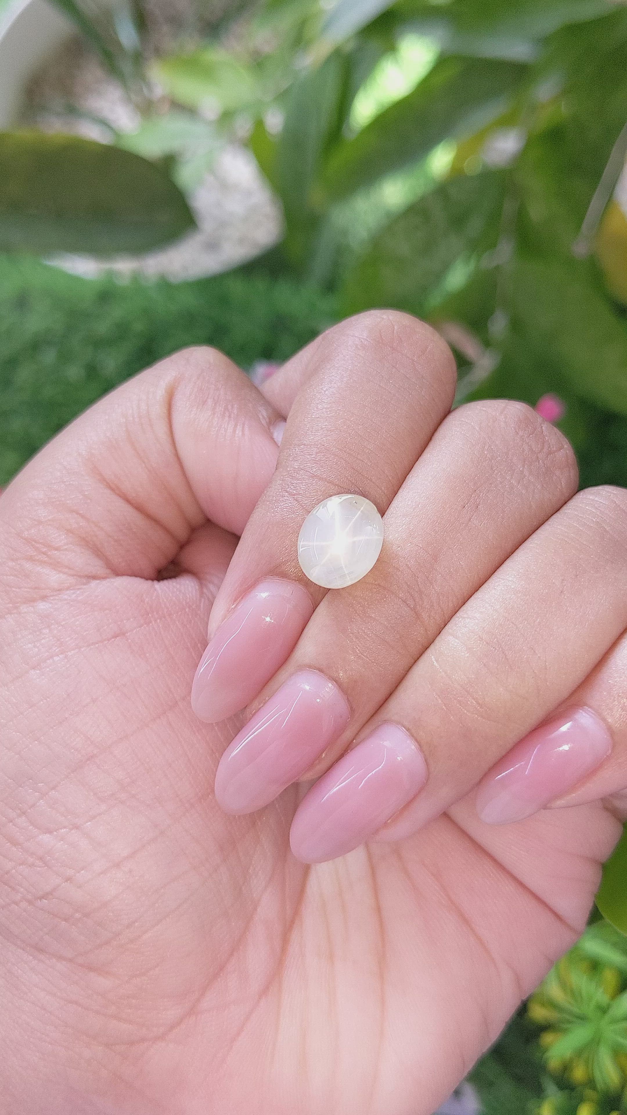 6.02 Ct. Yellow Star Sapphire from Ceylon (Sri Lanka) Size Video