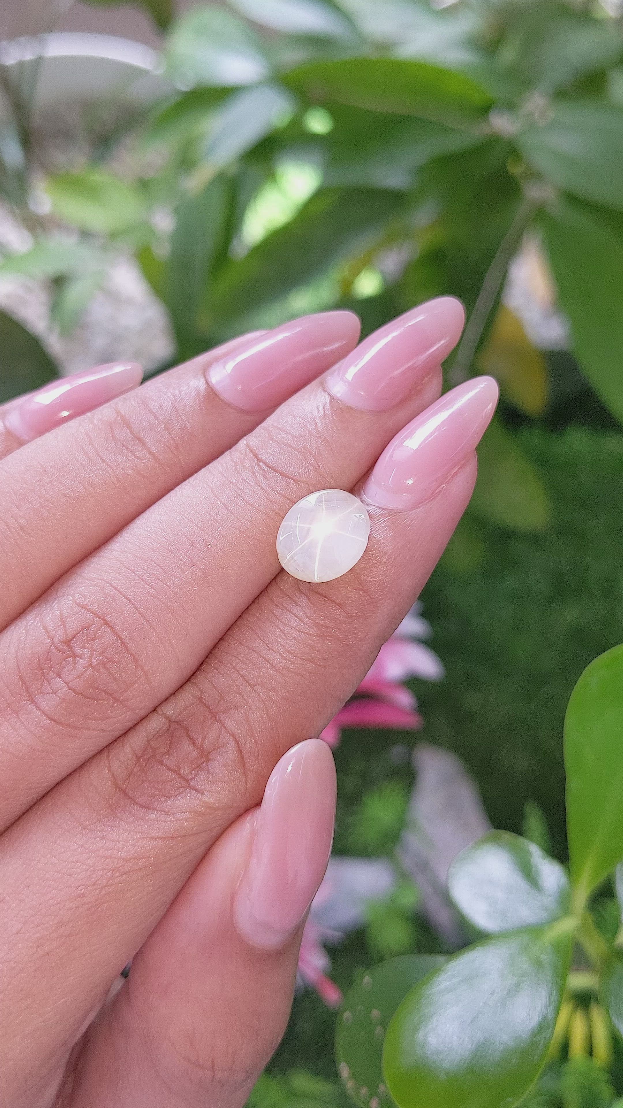 6.02 Ct. Yellow Star Sapphire from Ceylon (Sri Lanka) Size Video