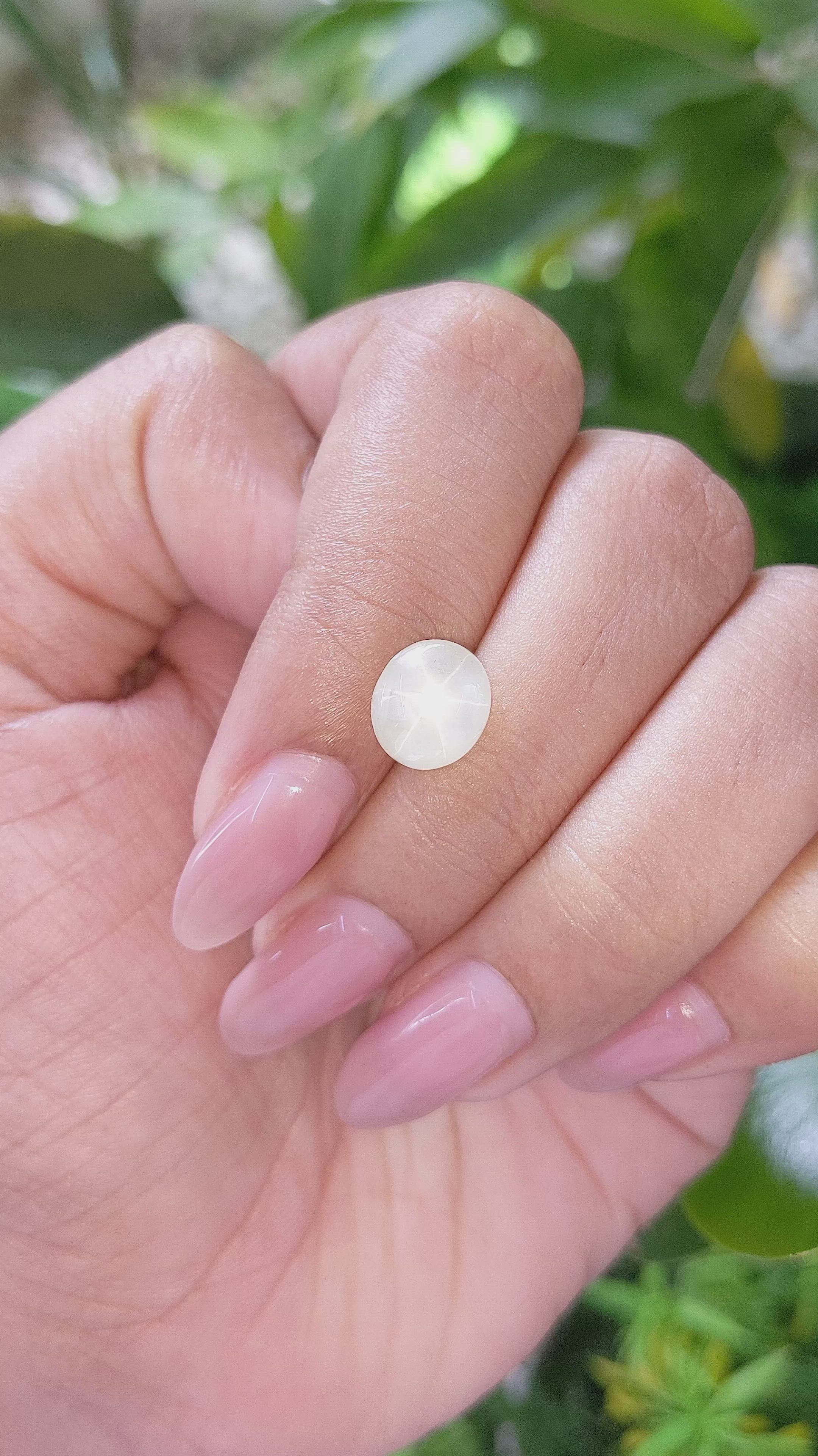 3.57 Ct. Yellow Star Sapphire from Ceylon (Sri Lanka) Size Video