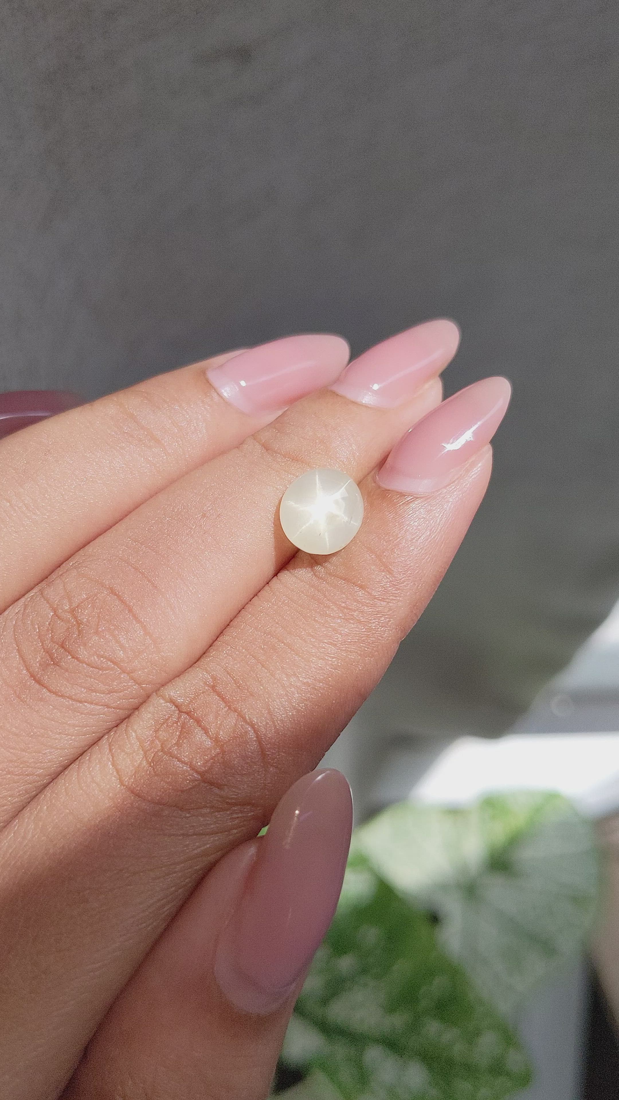 3.57 Ct. Yellow Star Sapphire from Ceylon (Sri Lanka) Size Video