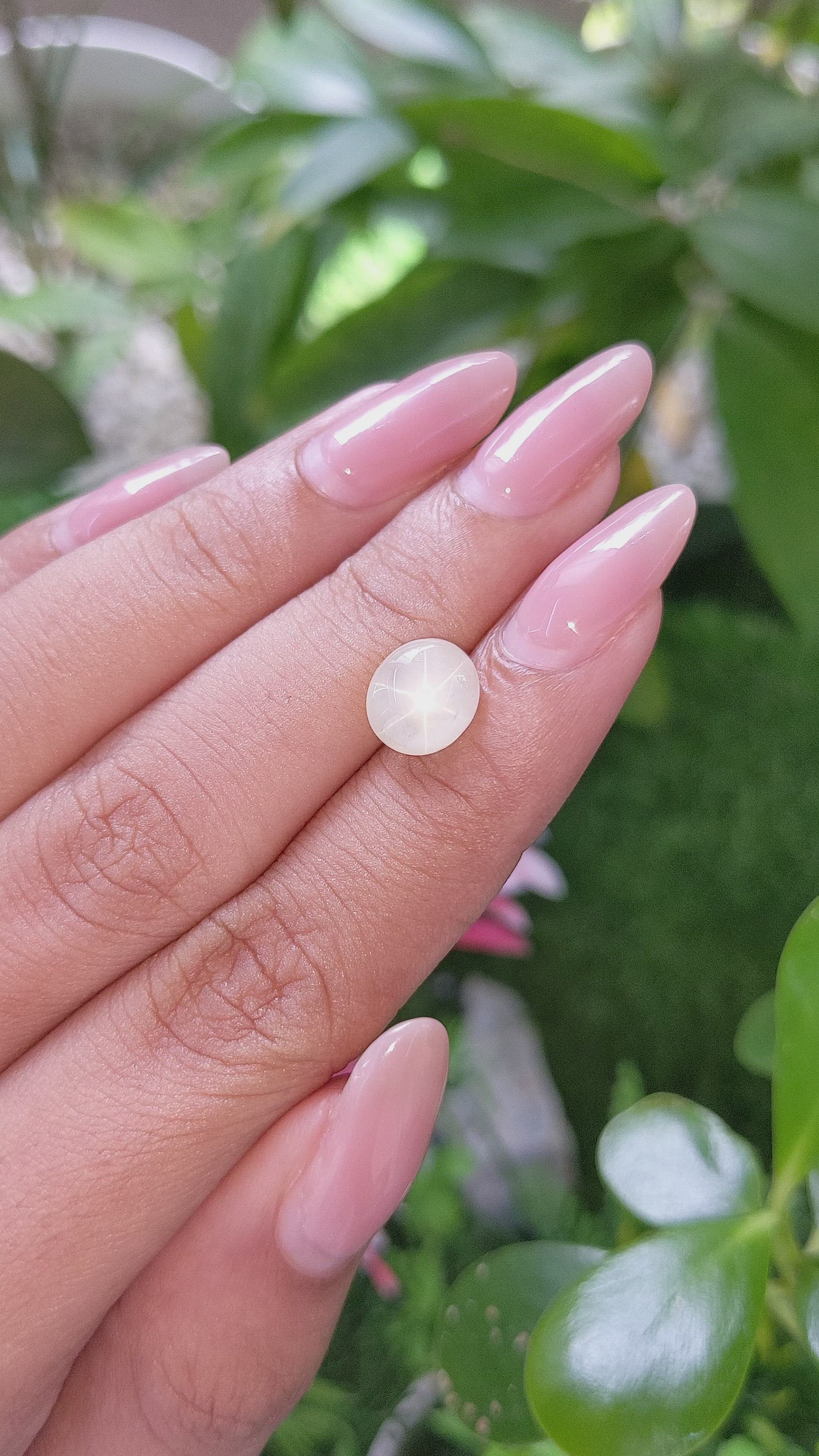 3.57 Ct. Yellow Star Sapphire from Ceylon (Sri Lanka) Size Video