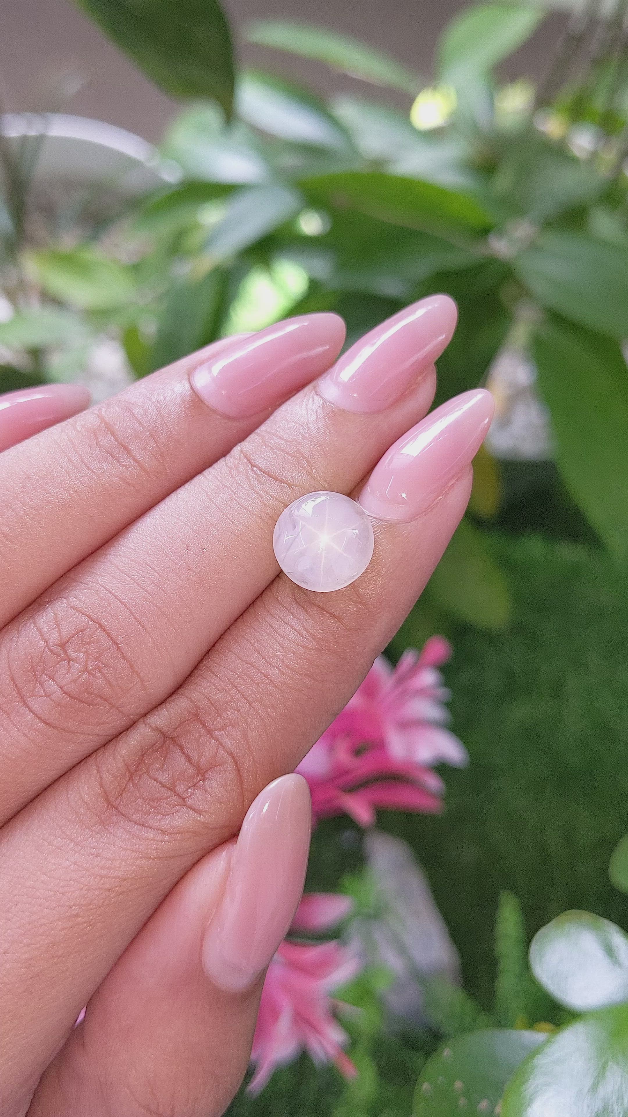 4.56 Ct. Grey Star Sapphire from Ceylon (Sri Lanka) Size Video