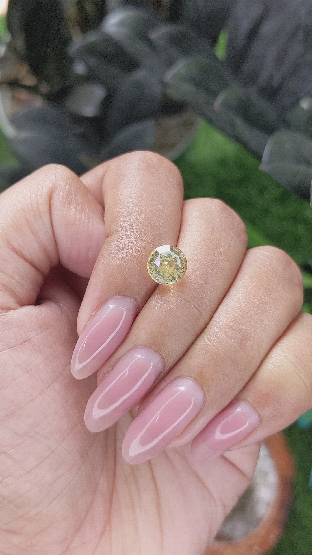 3.03 Ct. Yellow Sapphire from Ceylon (Sri Lanka) Size Video