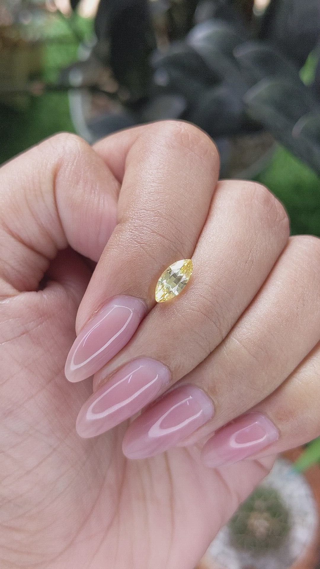 1.06 Ct. Yellow Sapphire from Ceylon (Sri Lanka) Size Video