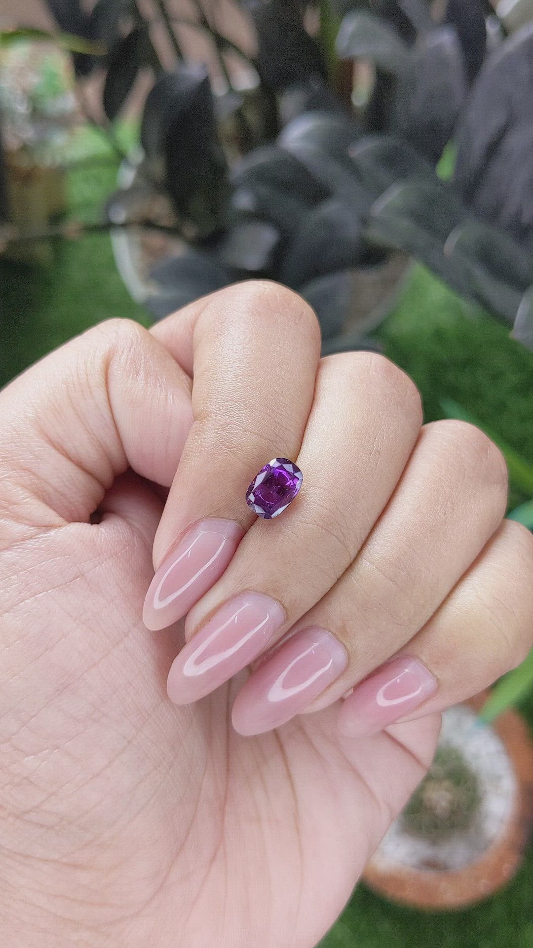 1.76 Ct. Purple Sapphire from Ceylon (Sri Lanka) Size Video