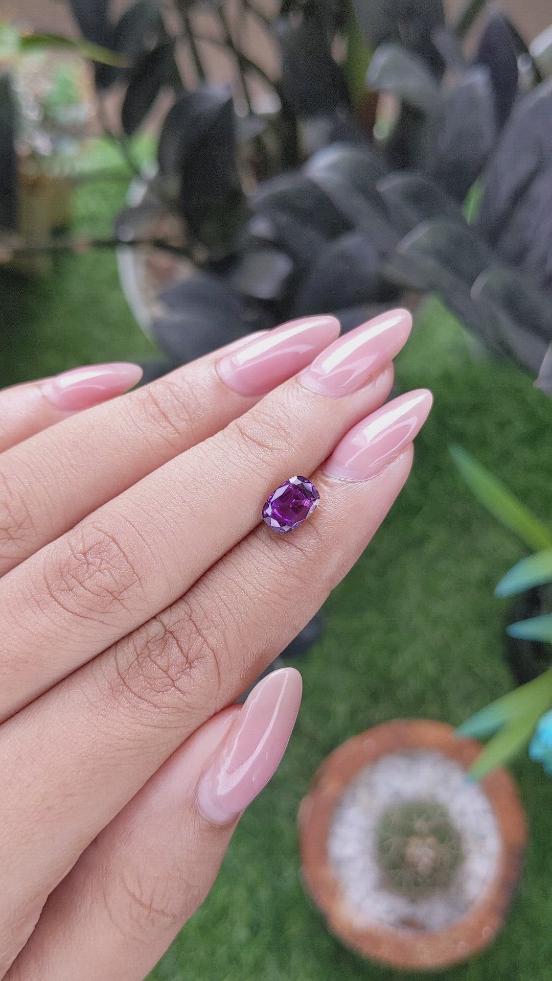 1.76 Ct. Purple Sapphire from Ceylon (Sri Lanka) Size Video