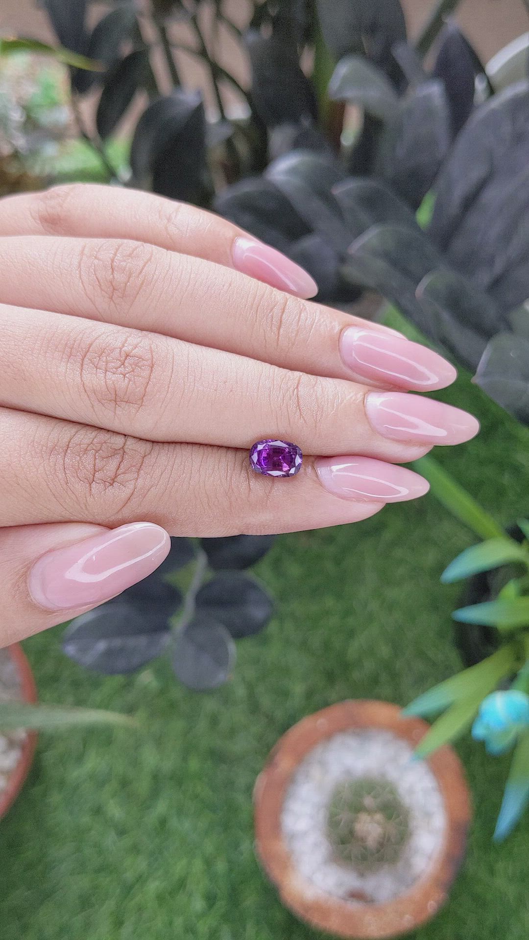 1.76 Ct. Purple Sapphire from Ceylon (Sri Lanka) Size Video