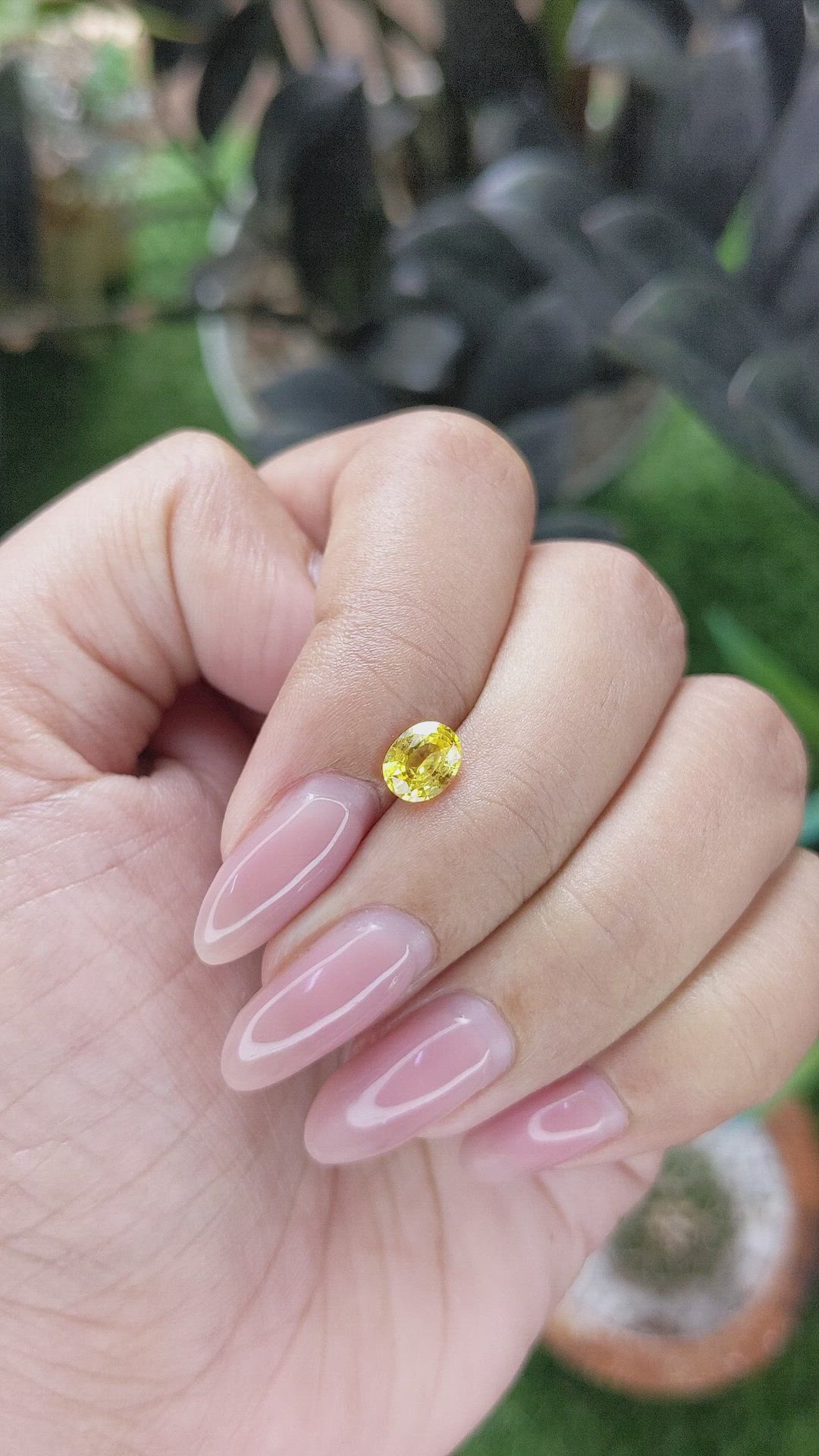 0.89 Ct. Yellow Sapphire from Ceylon (Sri Lanka) Size Video