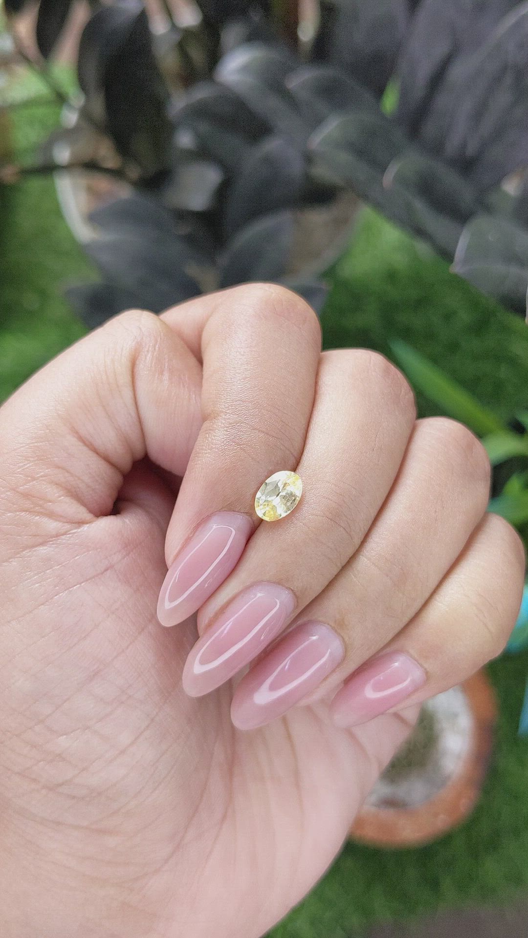 1.00 Ct. Yellow Sapphire from Ceylon (Sri Lanka) Size Video