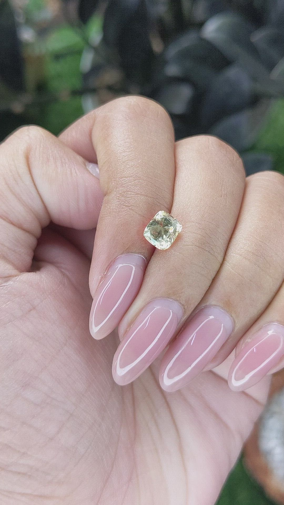 1.50 Ct. Yellow Sapphire from Madagascar Size Video