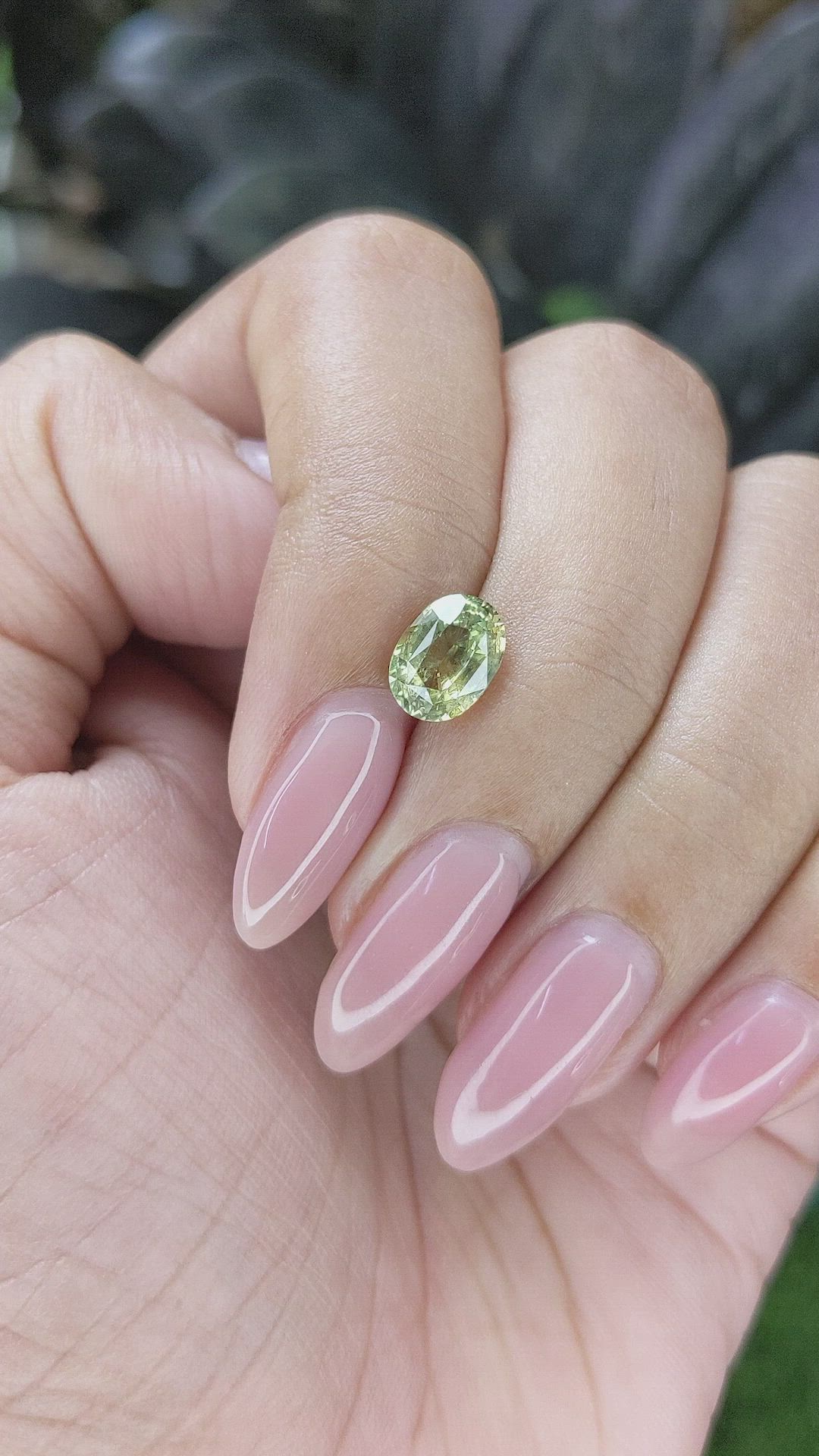 1.71 Ct. Yellowish Green Sapphire from Africa Size Video