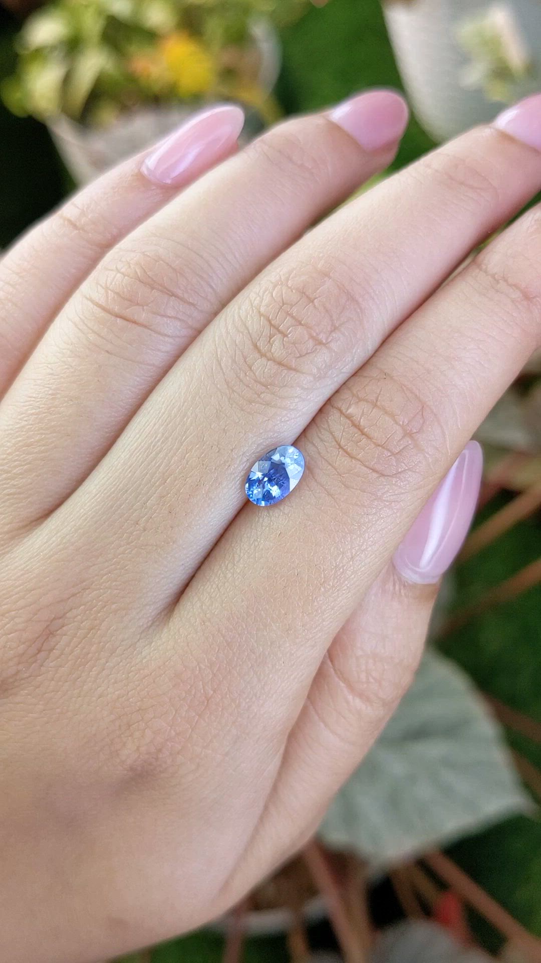 1.33 Ct. Blue Sapphire from Ceylon (Sri Lanka) Size Video