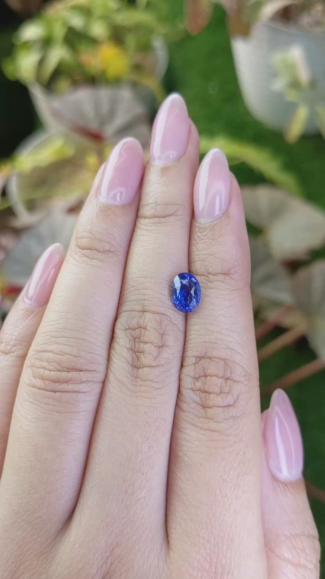 1.99 Ct. Blue Sapphire from Ceylon (Sri Lanka) Size Video