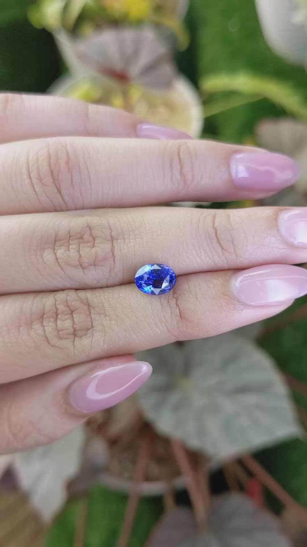 1.99 Ct. Blue Sapphire from Ceylon (Sri Lanka) Size Video
