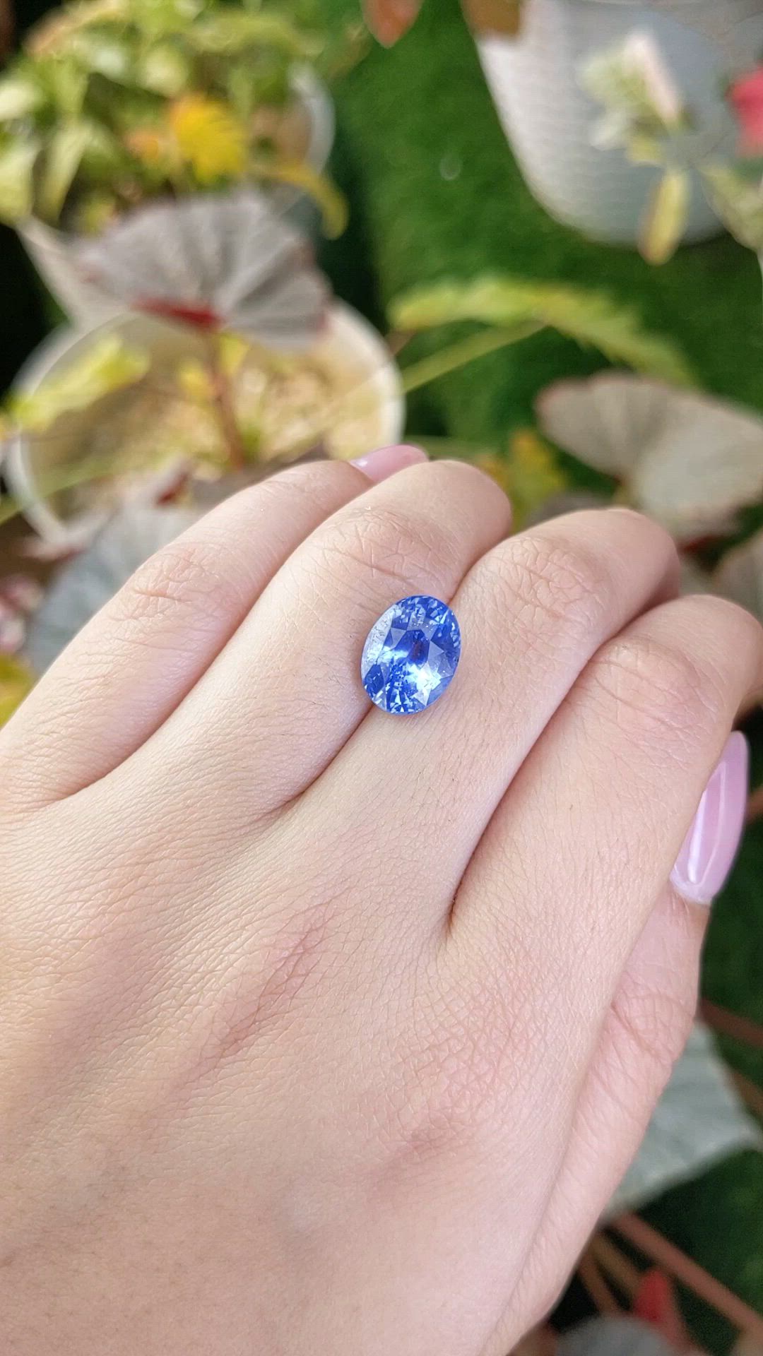 6.27 Ct. Blue Sapphire from Ceylon (Sri Lanka) Size Video
