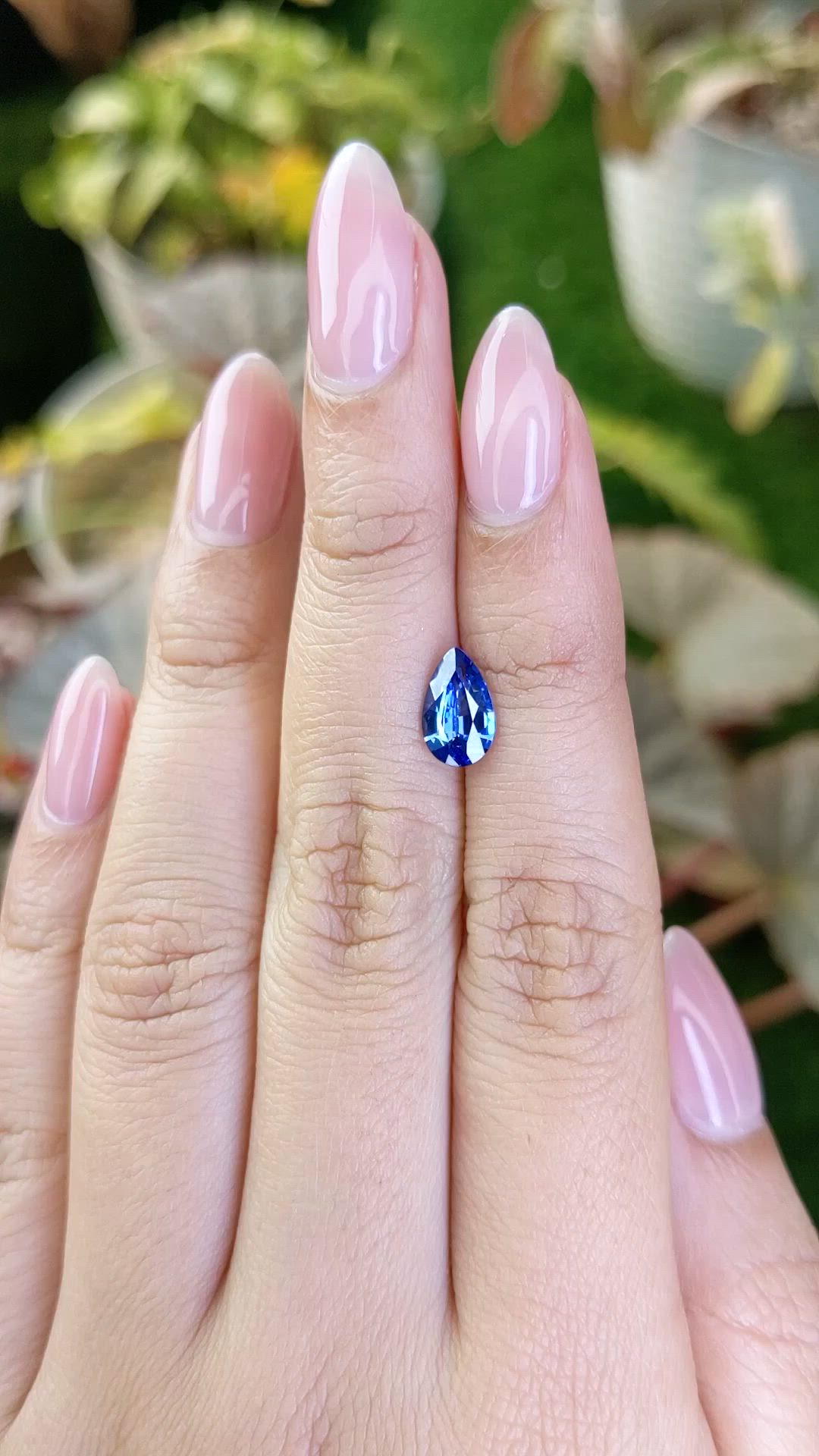 1.55 Ct. Blue Sapphire from Ceylon (Sri Lanka) Size Video