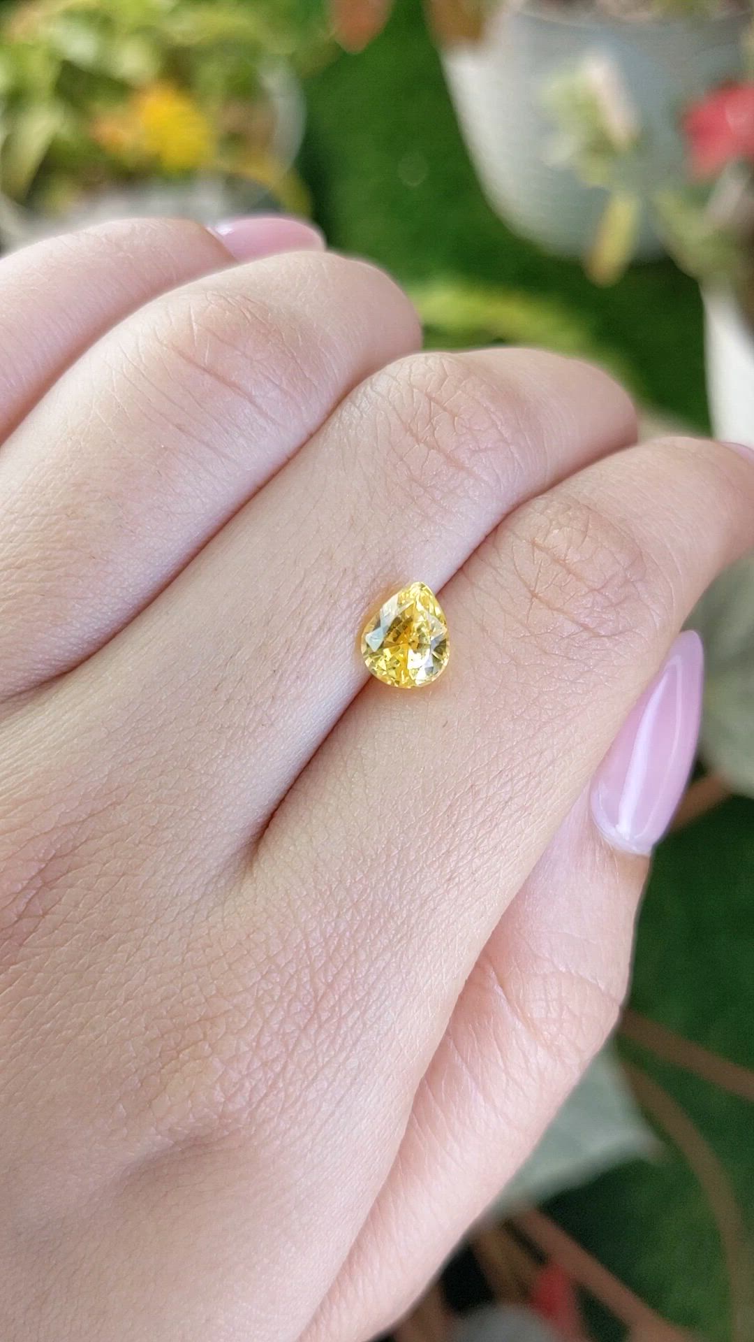 2.04 Ct. Yellow Sapphire from Ceylon (Sri Lanka) Size Video