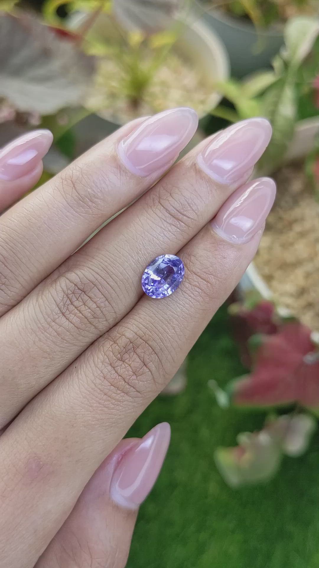 2.64 Ct. Violet Sapphire from Ceylon (Sri Lanka) Size Video