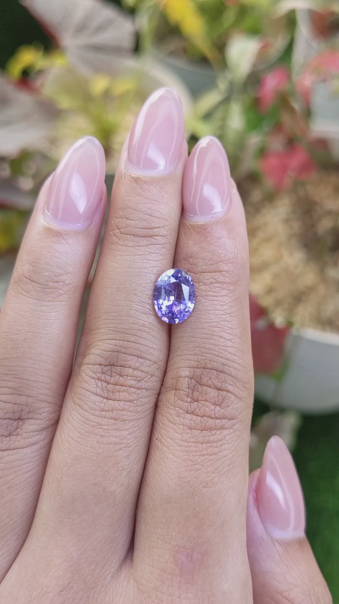 2.64 Ct. Violet Sapphire from Ceylon (Sri Lanka) Size Video